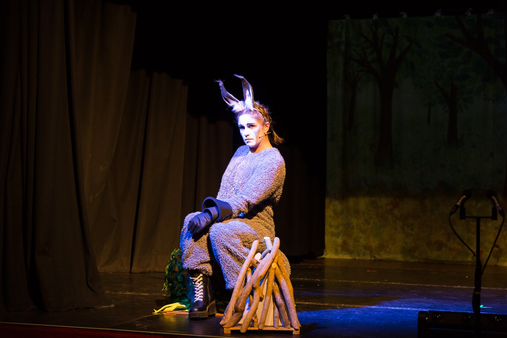 Shrek the Musical-437.JPG