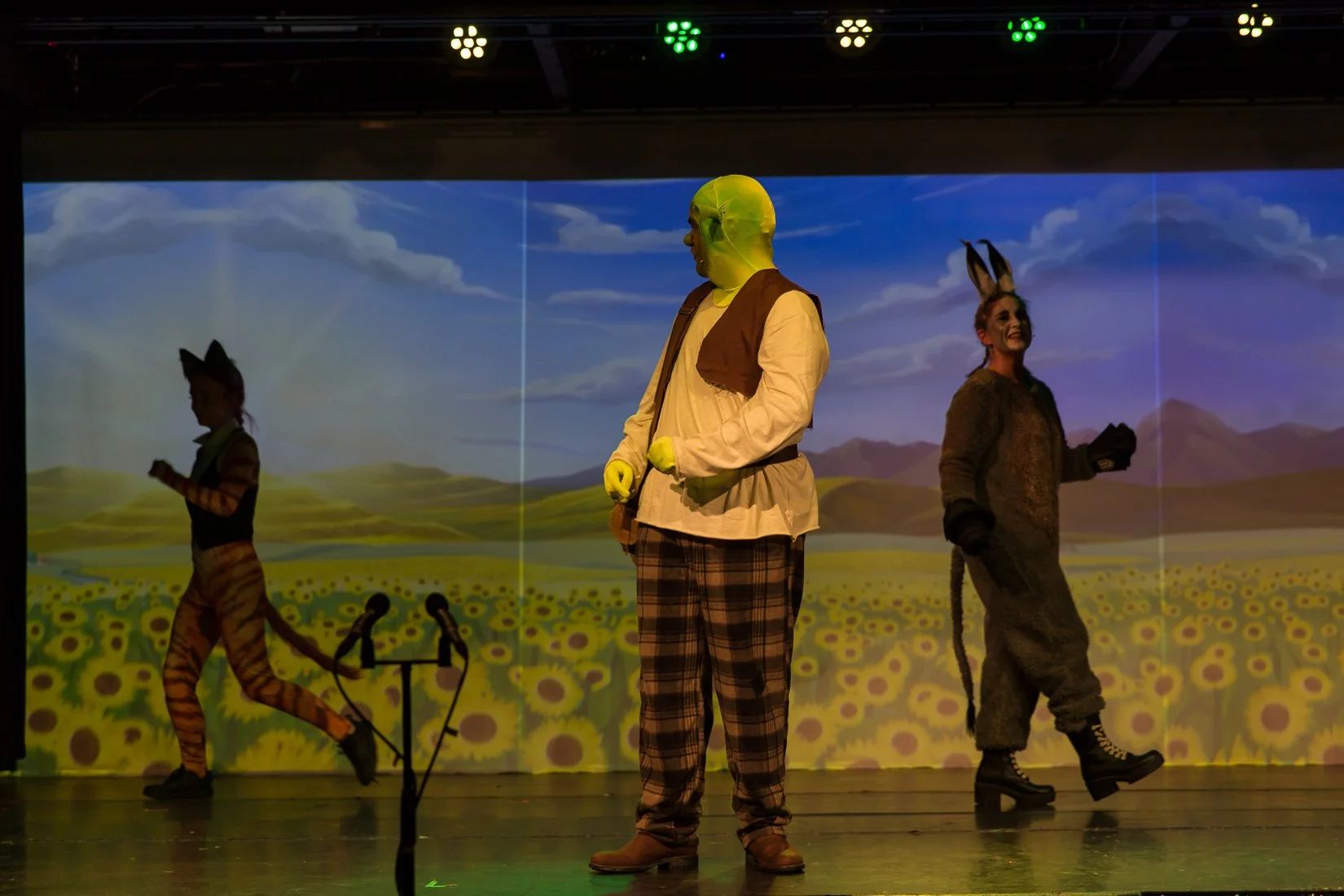 Shrek the Musical-224.JPG