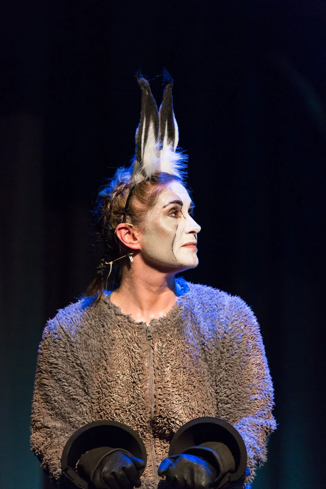 Shrek the Musical-315.JPG