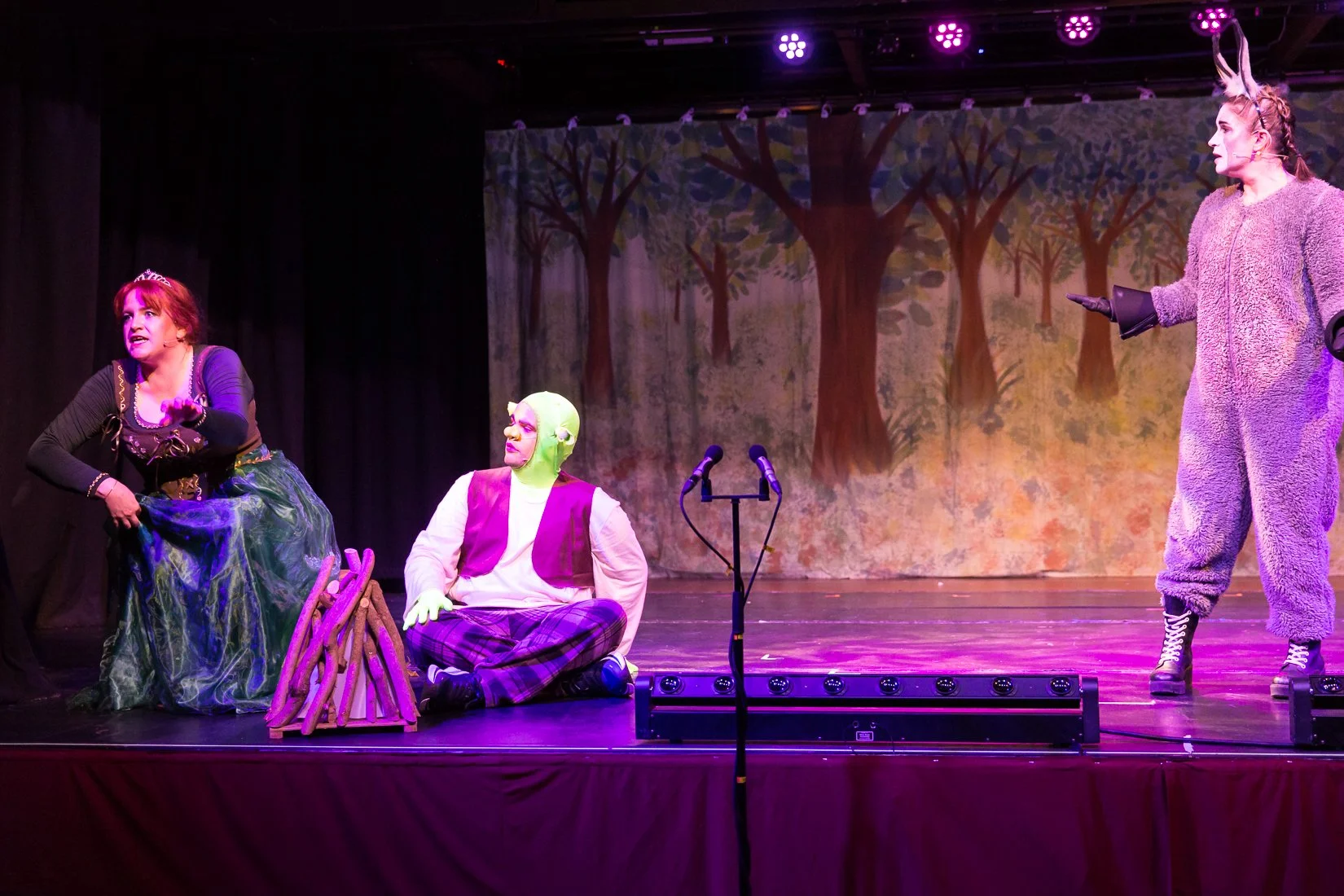 Shrek the Musical-471.JPG