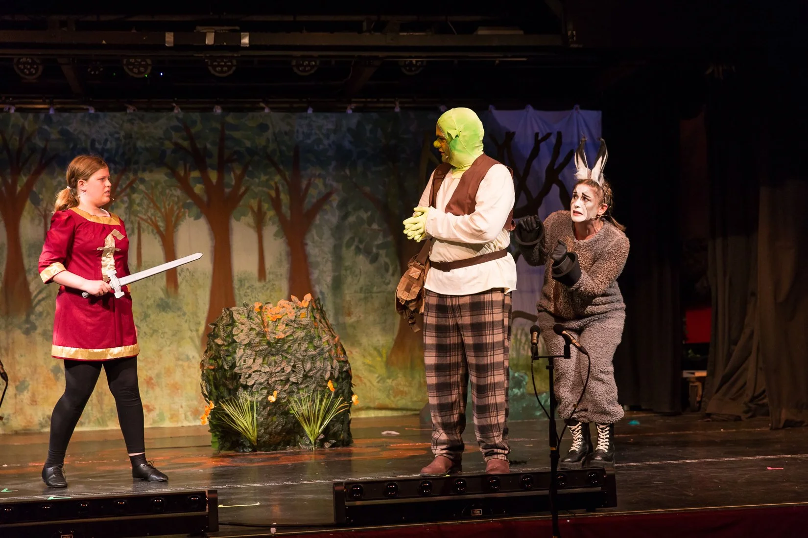 Shrek the Musical-82.JPG