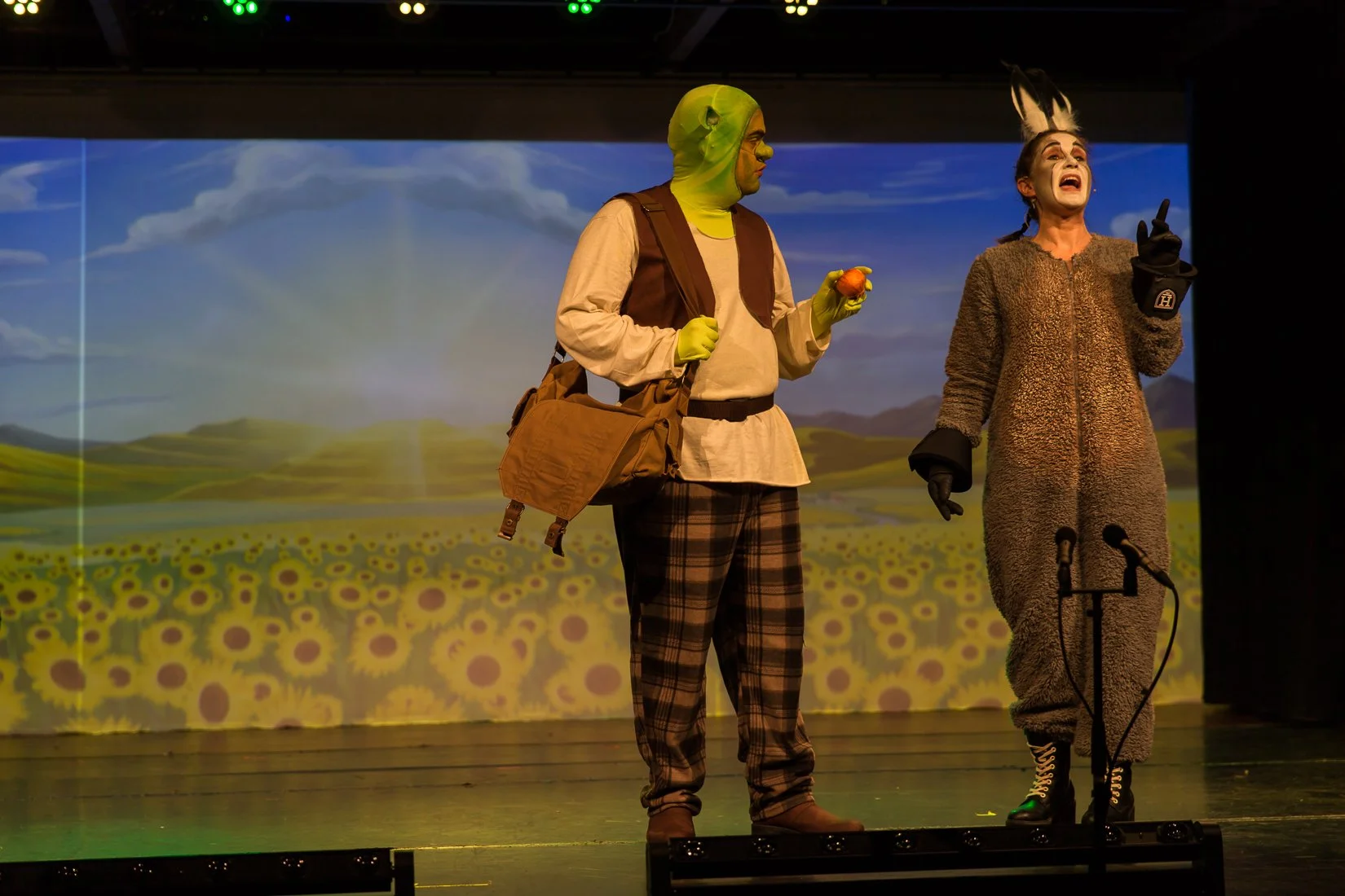 Shrek the Musical-216.JPG