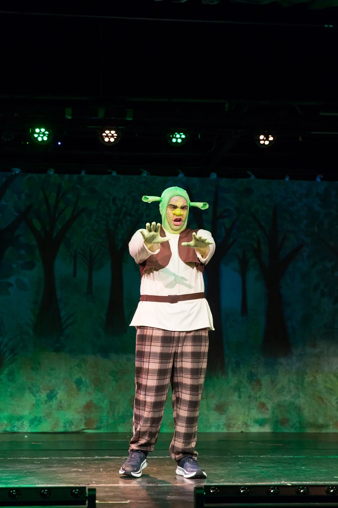 Shrek the Musical-506.JPG