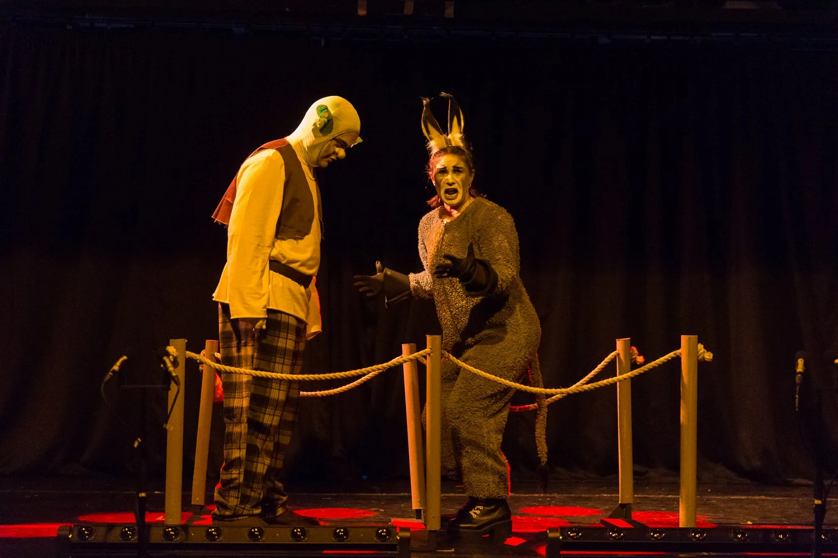 Shrek the Musical-234.JPG