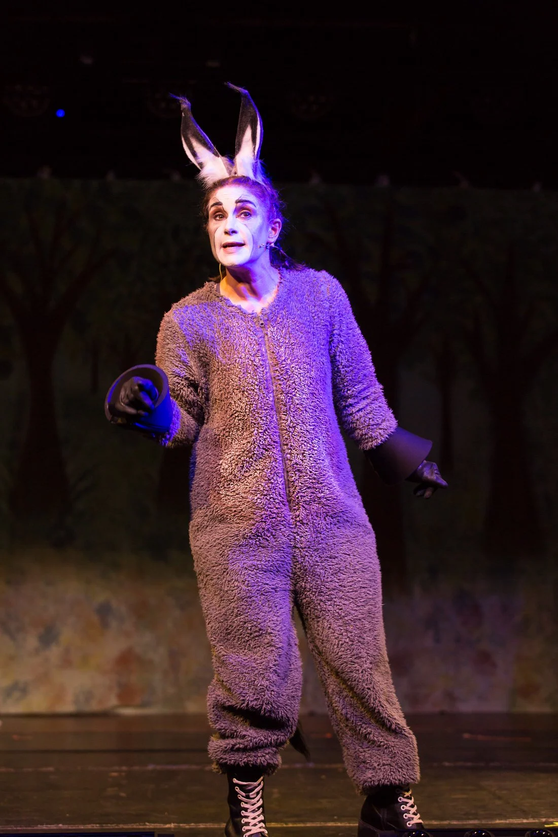 Shrek the Musical-441.JPG