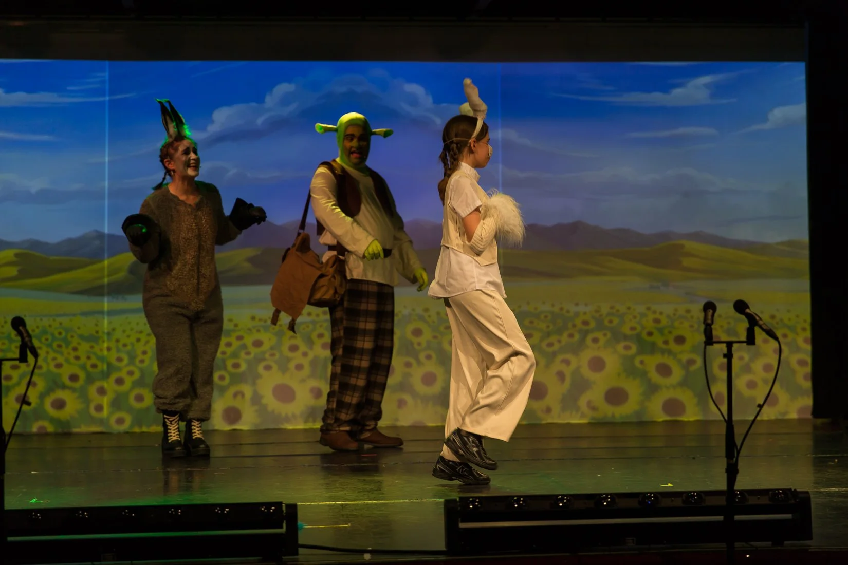 Shrek the Musical-227.JPG