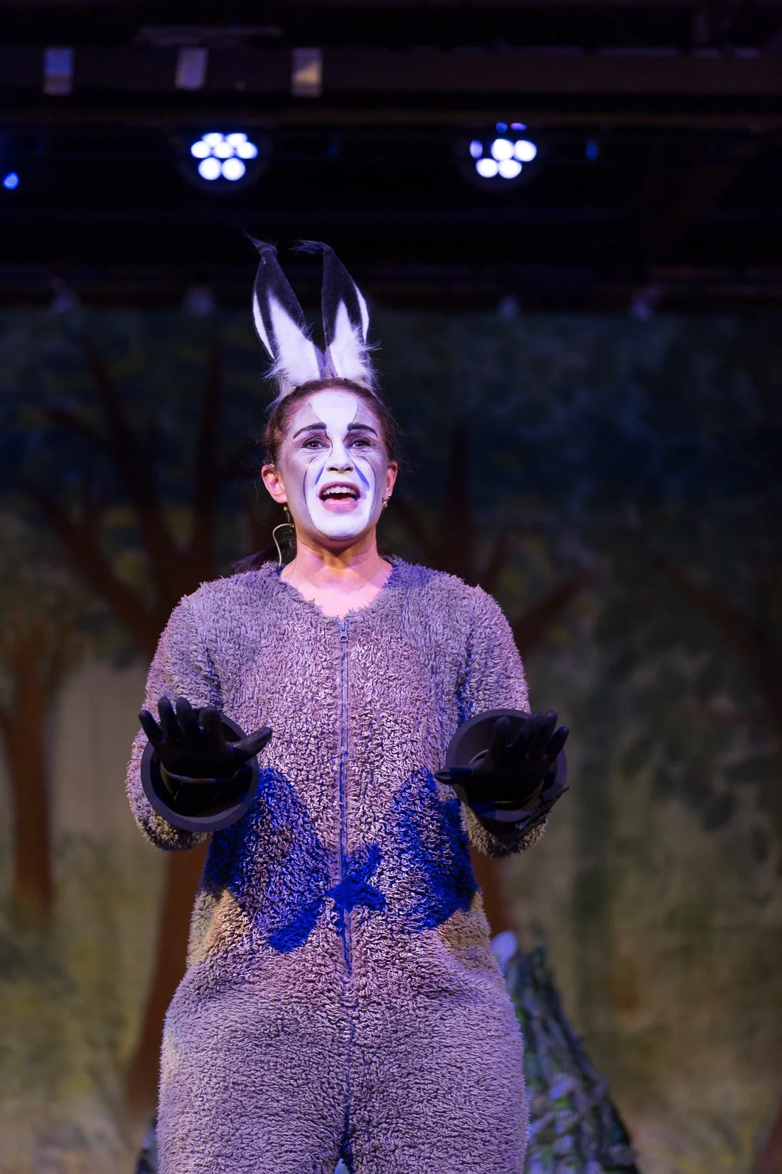 Shrek the Musical-101.JPG