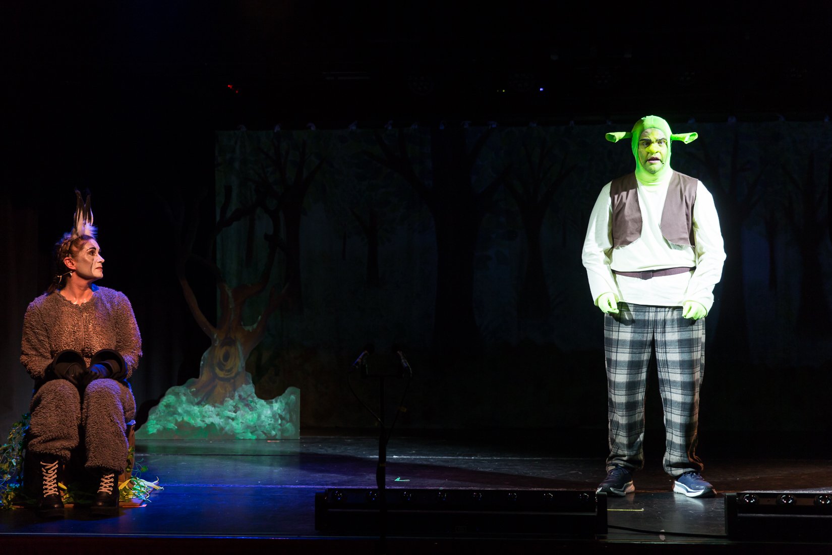 Shrek the Musical-324.JPG