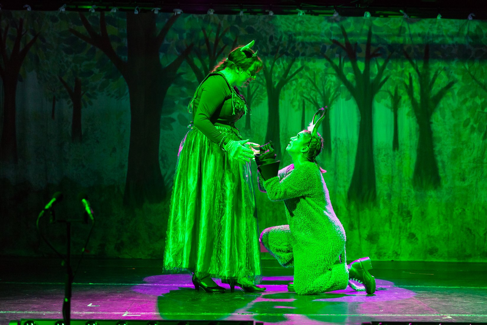 Shrek the Musical-478.JPG