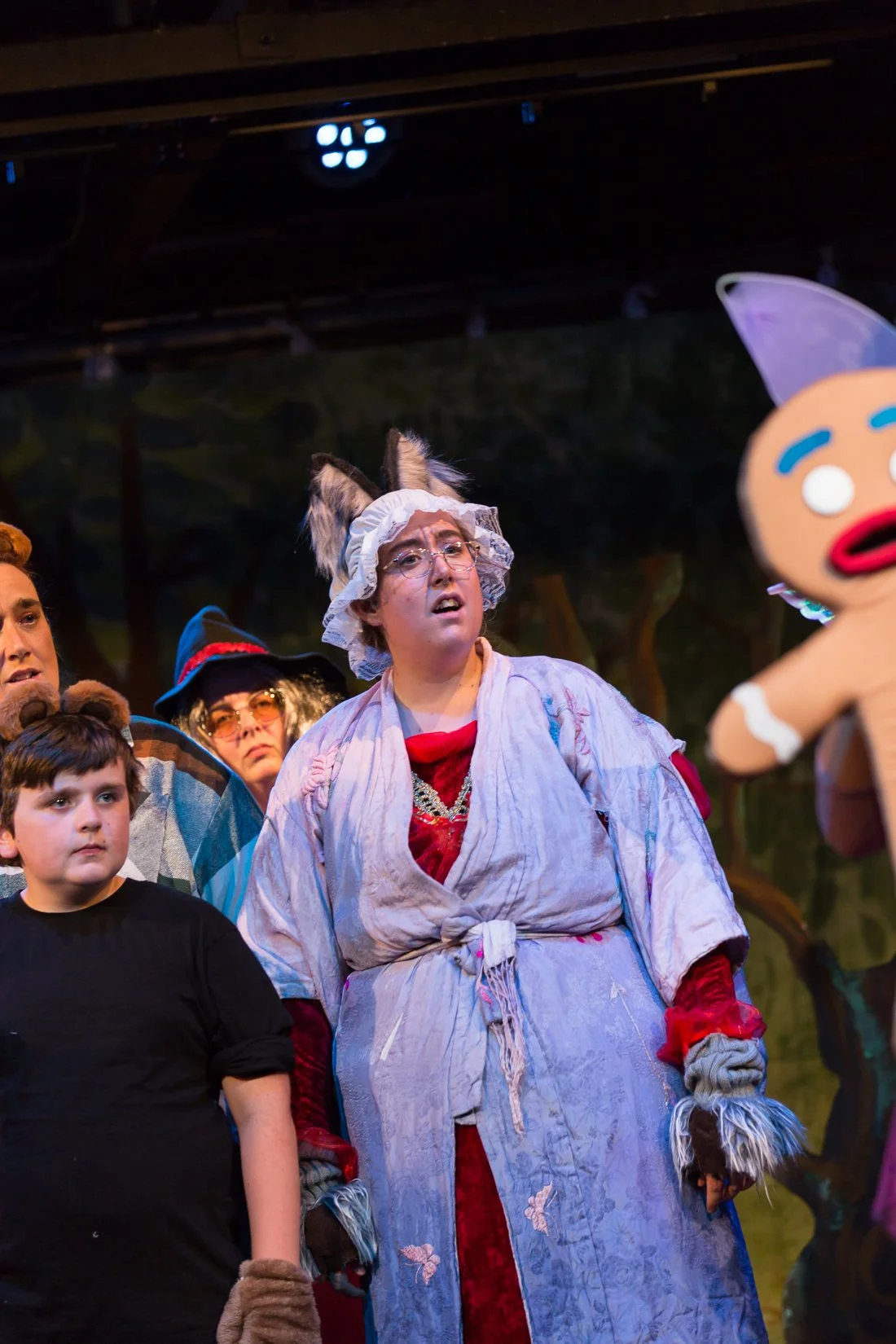 Shrek the Musical-530.JPG