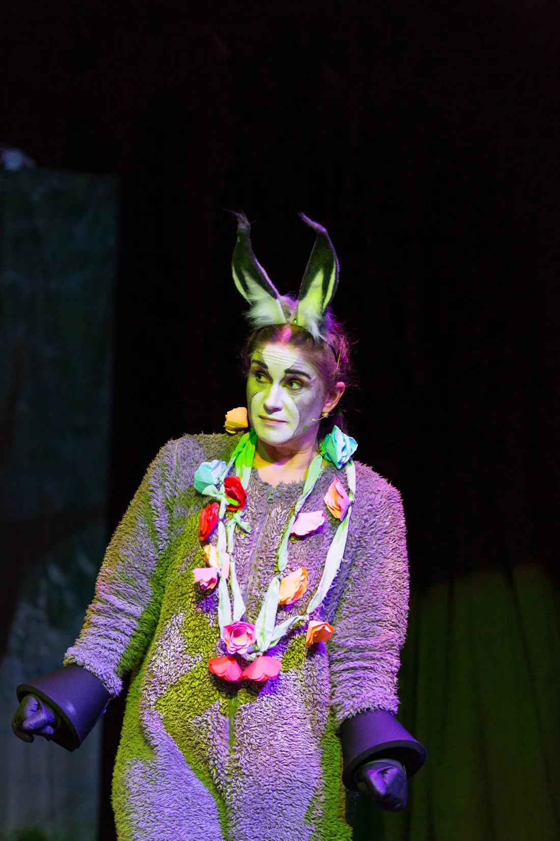 Shrek the Musical-381.JPG