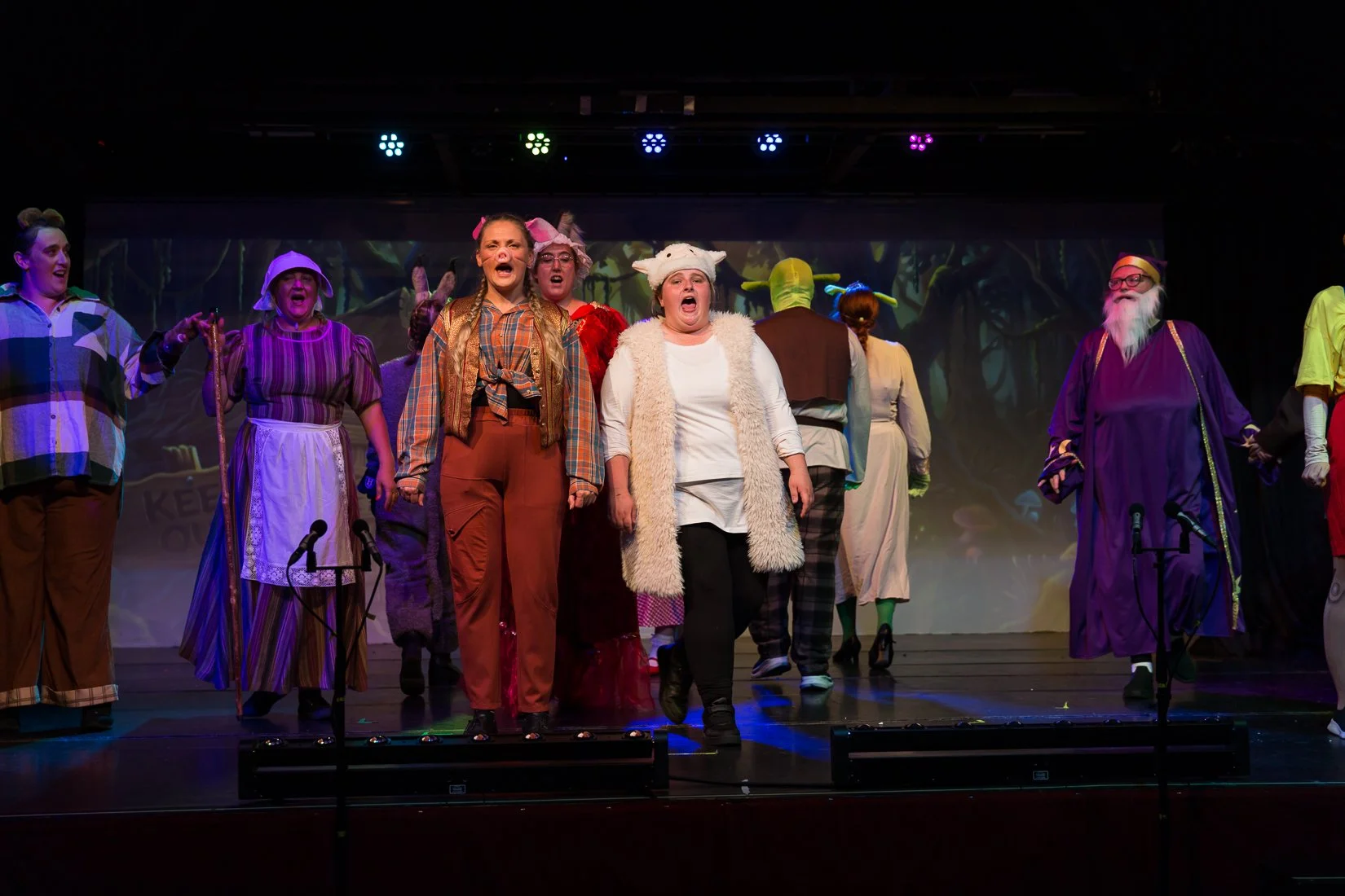Shrek the Musical-632.JPG