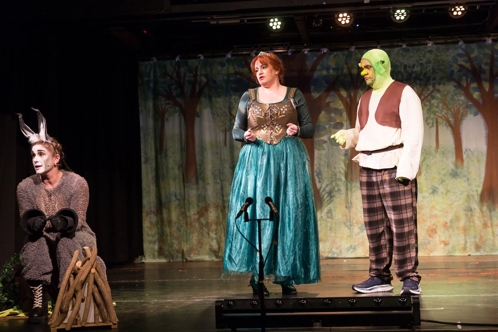 Shrek the Musical-435.JPG