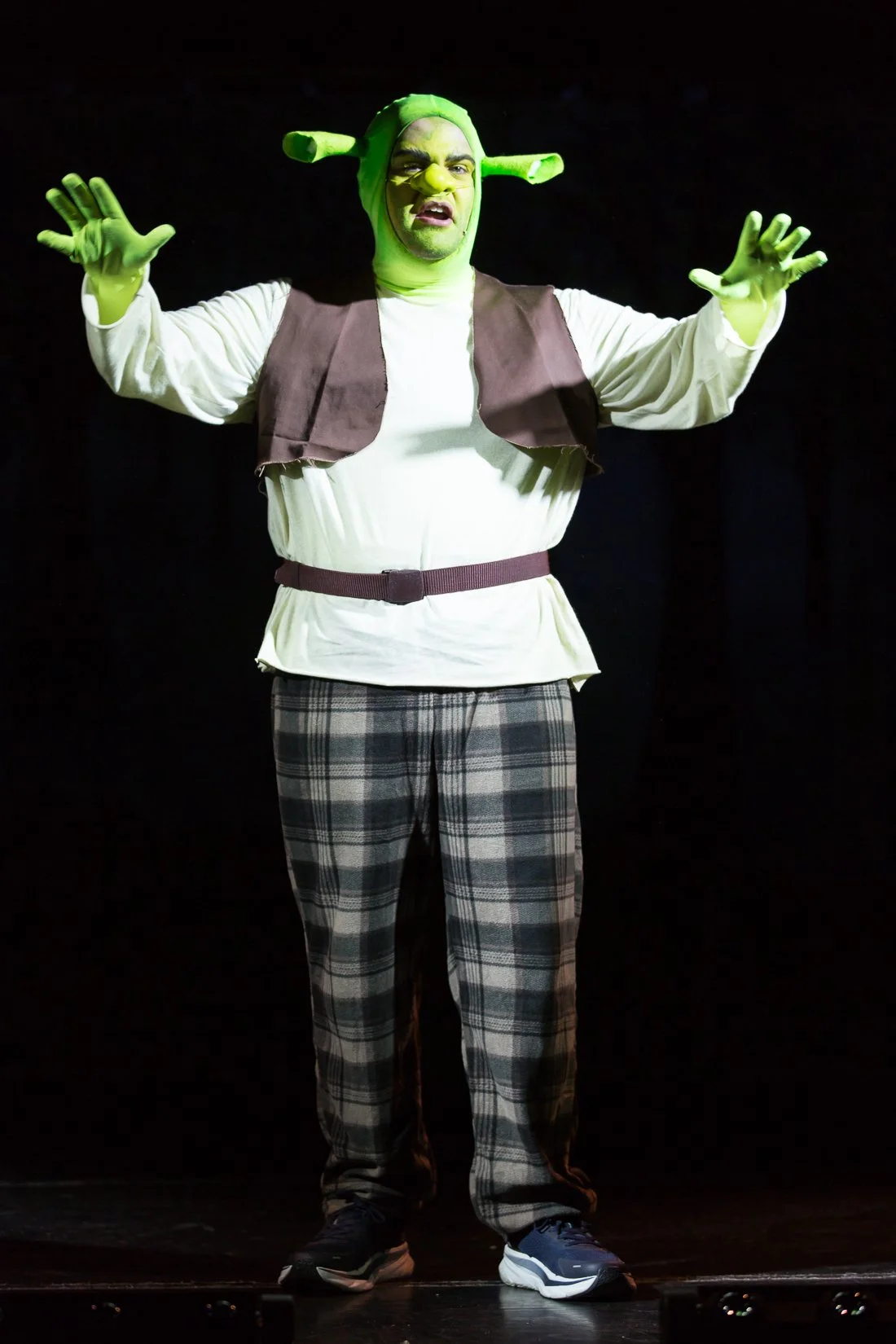 Shrek the Musical-323.JPG