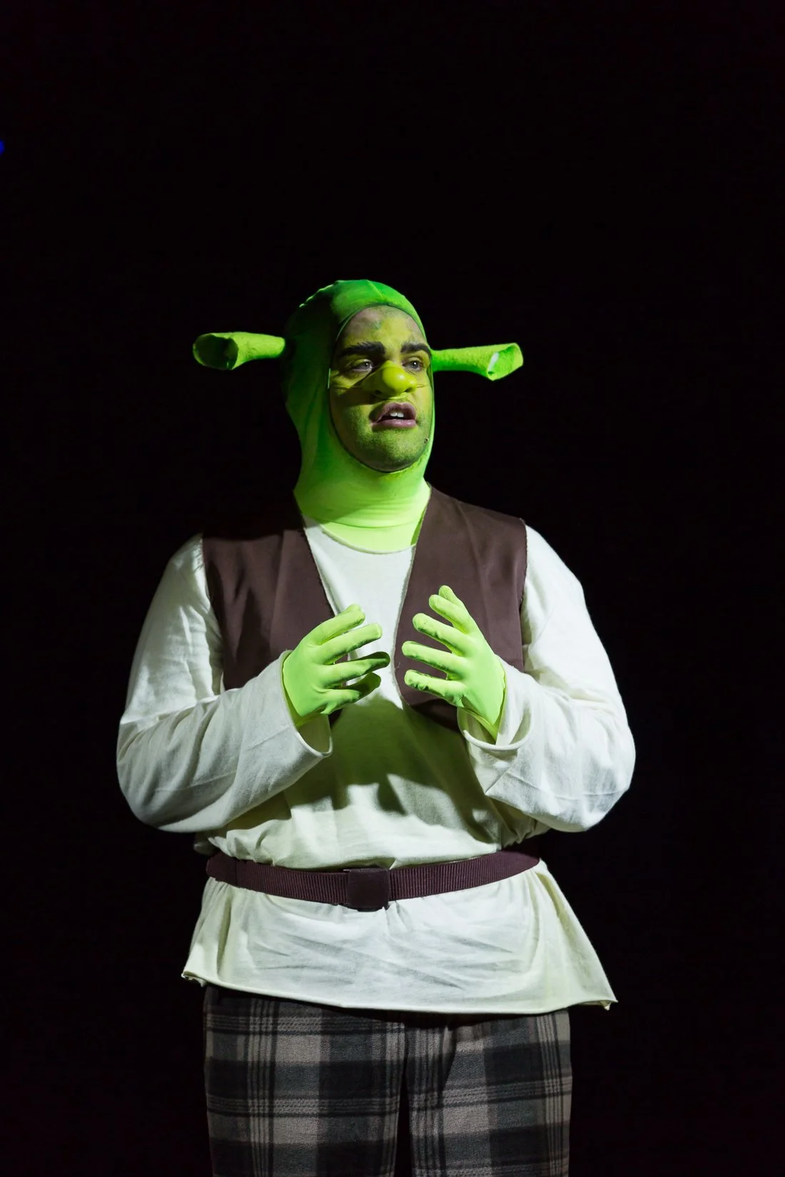 Shrek the Musical-316.JPG