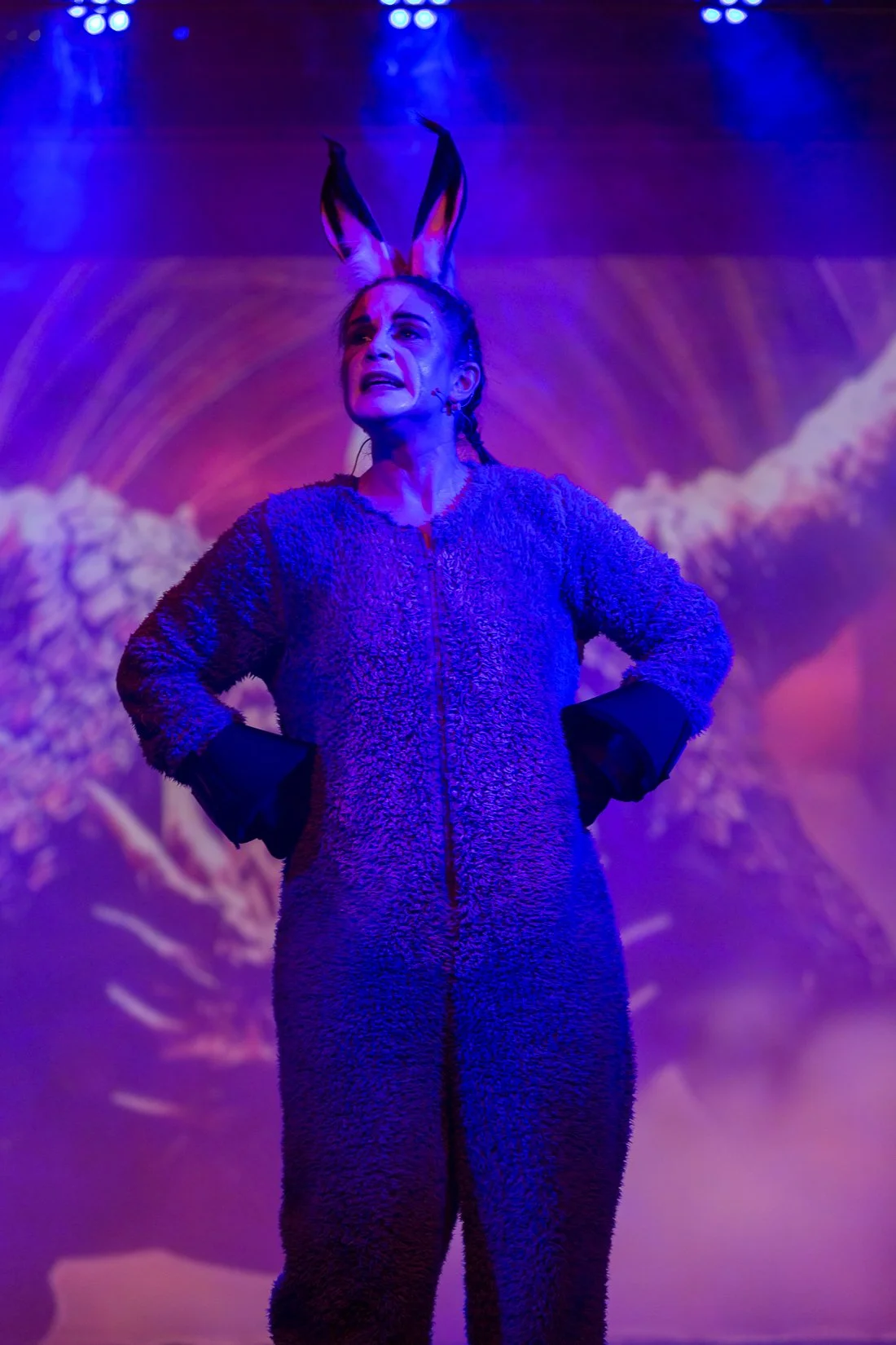 Shrek the Musical-267.JPG