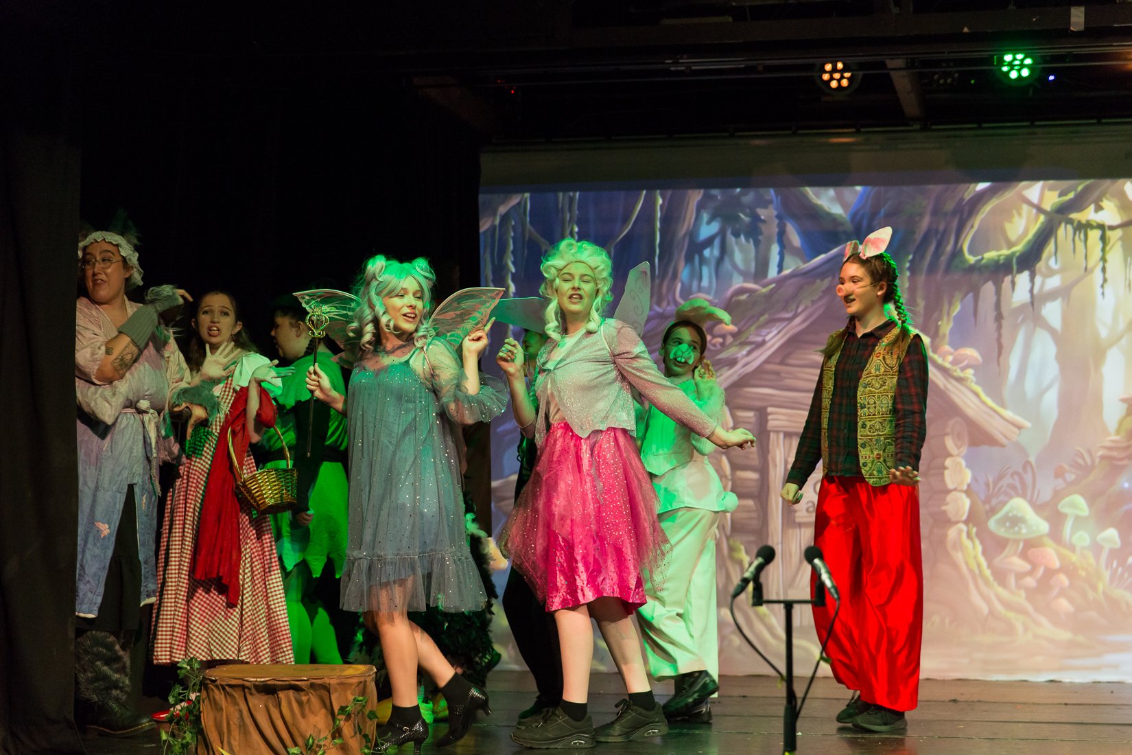 Shrek the Musical-76.JPG