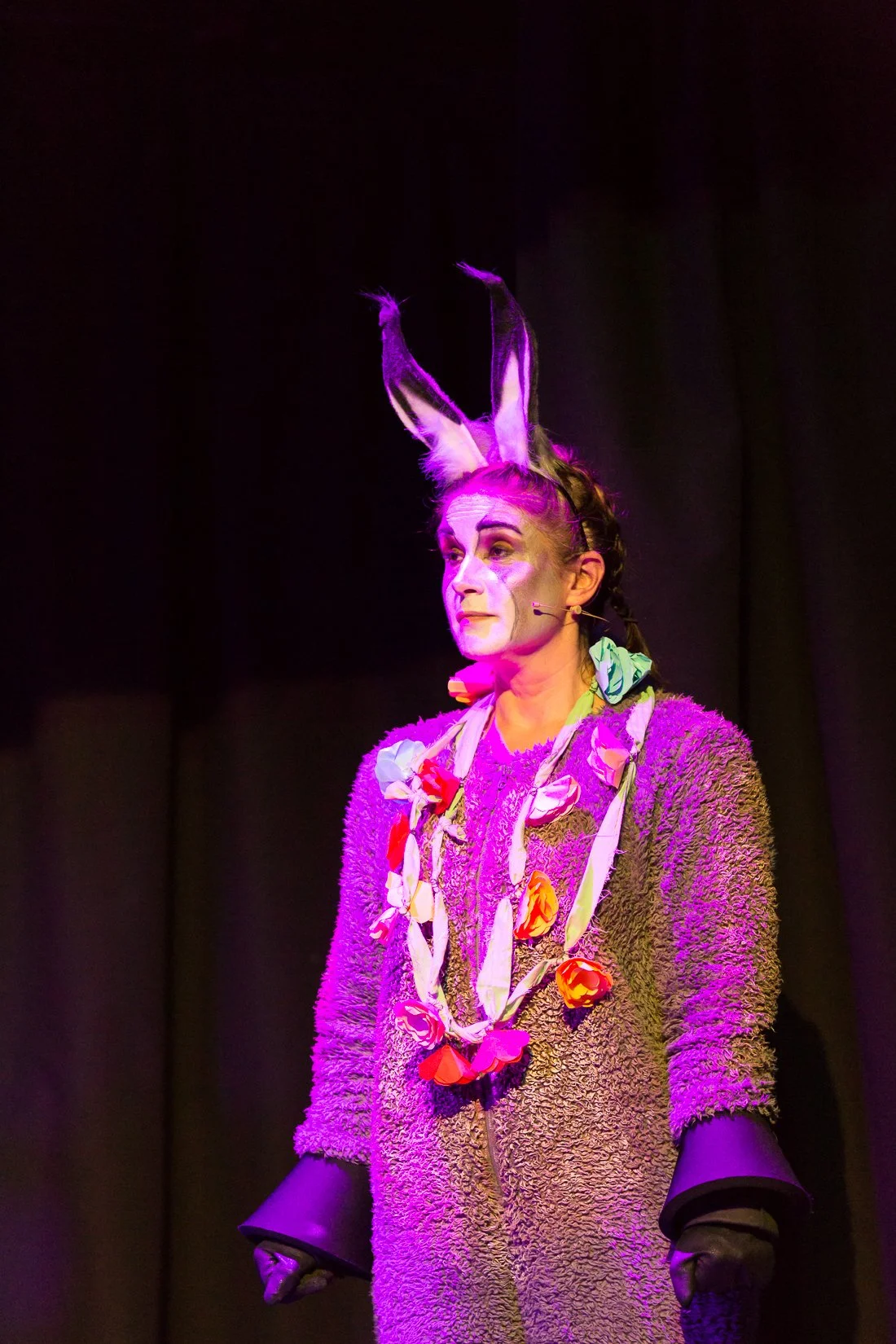 Shrek the Musical-383.JPG