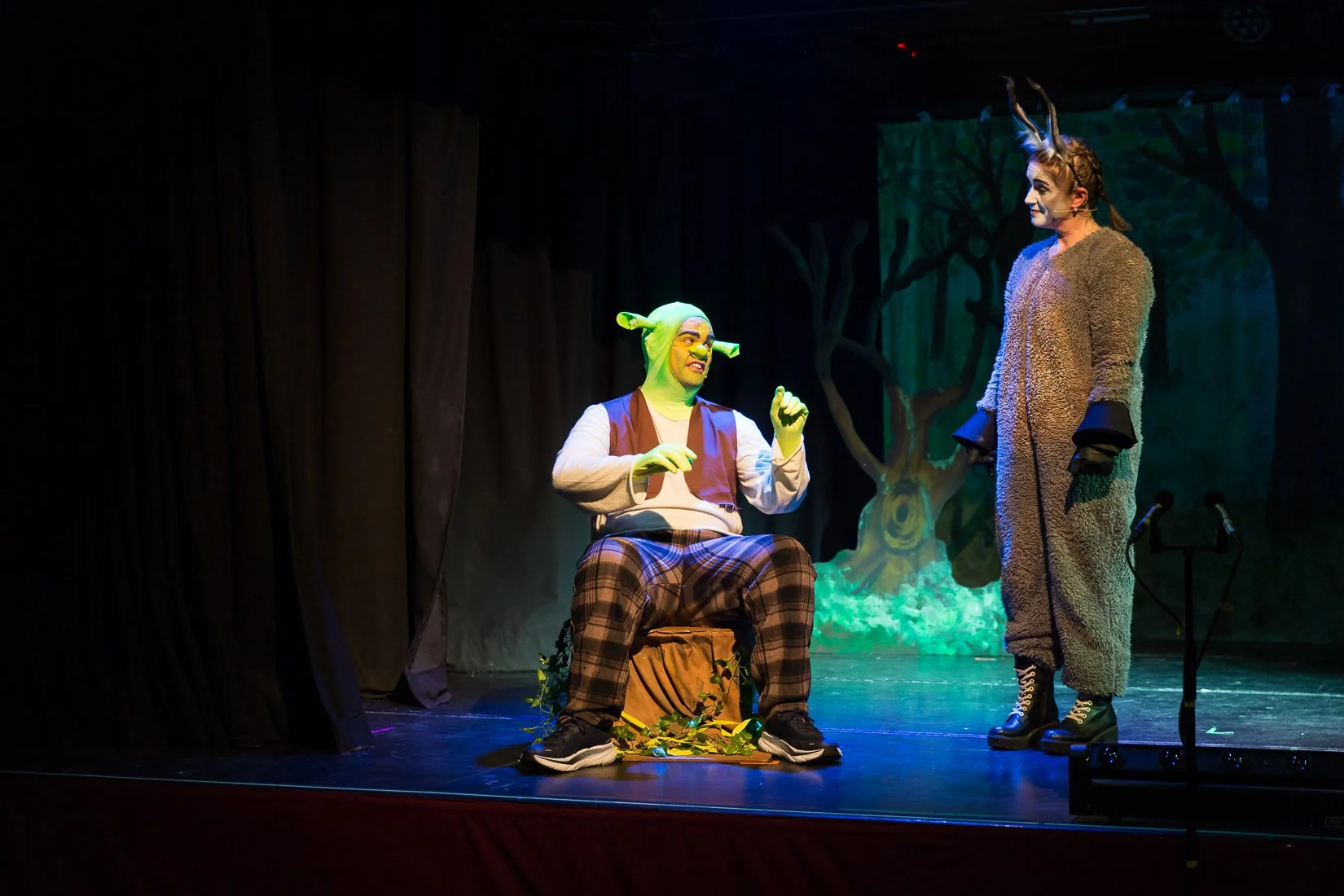 Shrek the Musical-311.JPG