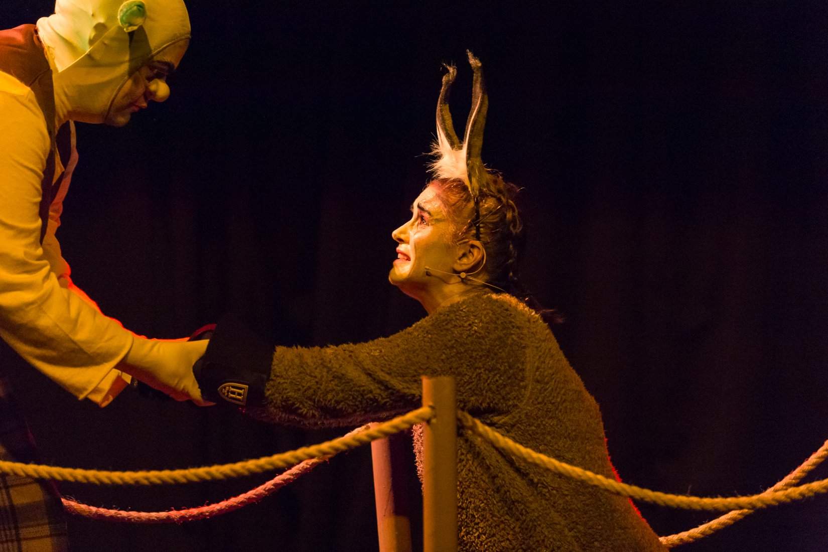 Shrek the Musical-235.JPG