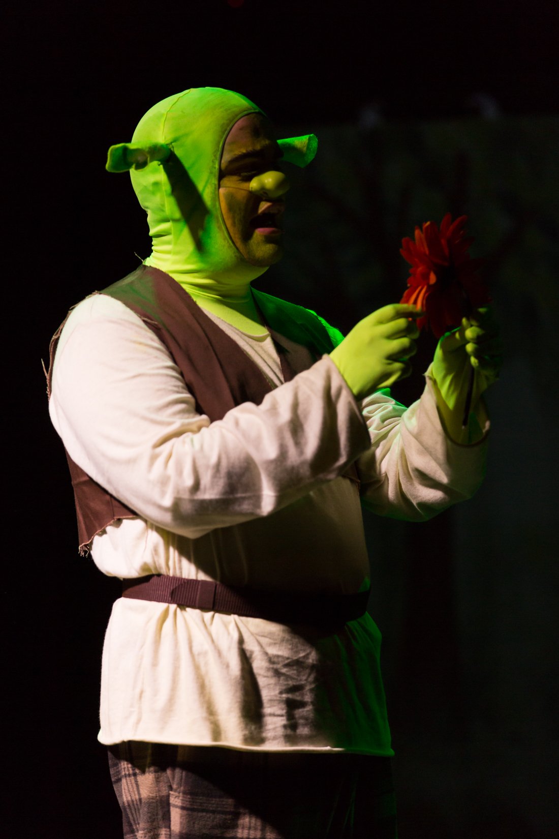 Shrek the Musical-480.JPG