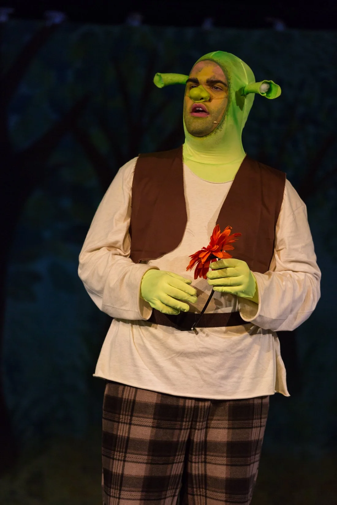 Shrek the Musical-483.JPG
