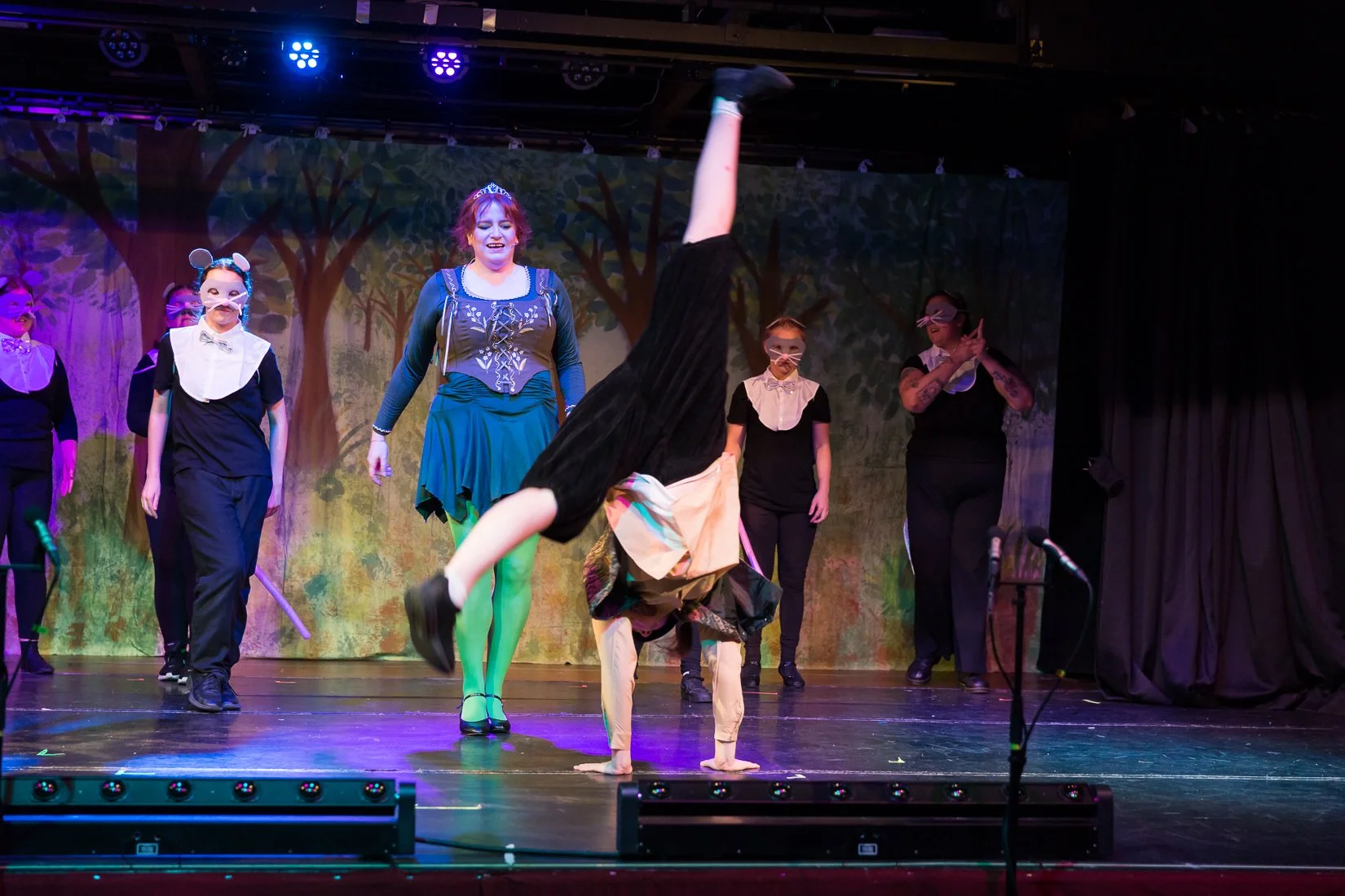 Shrek the Musical-362.JPG