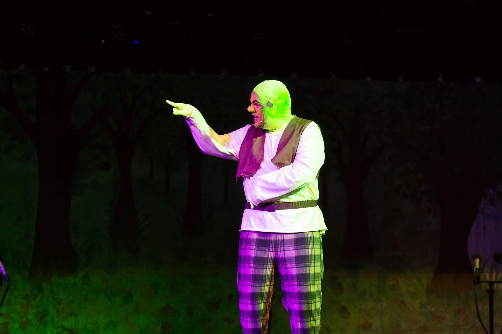 Shrek the Musical-385.JPG