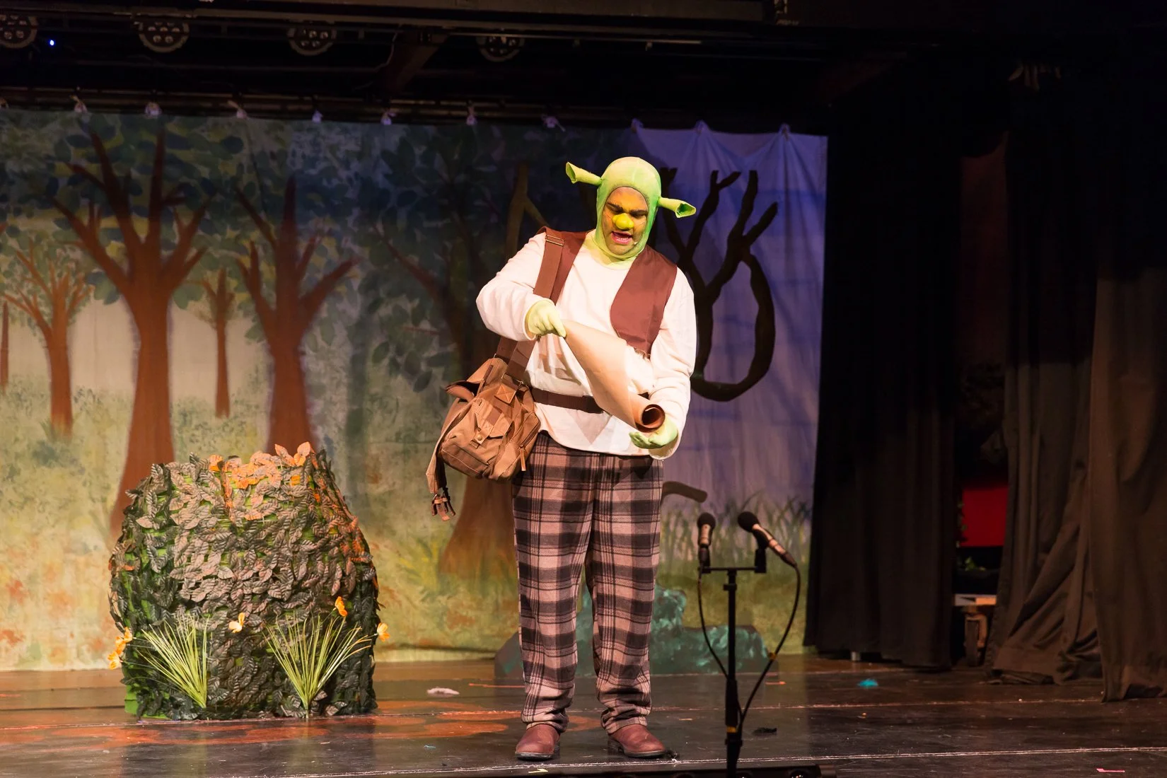 Shrek the Musical-79.JPG