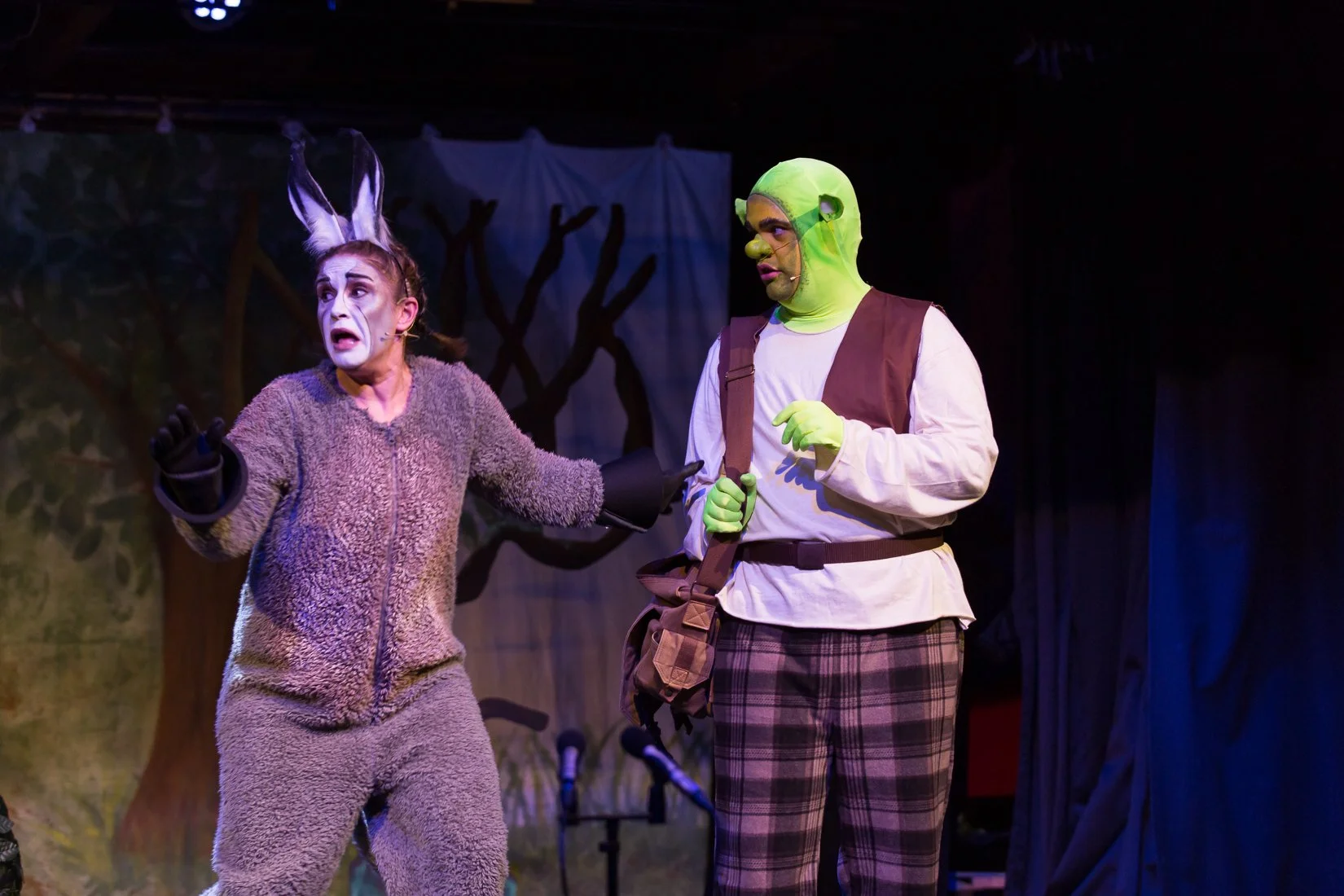 Shrek the Musical-102.JPG