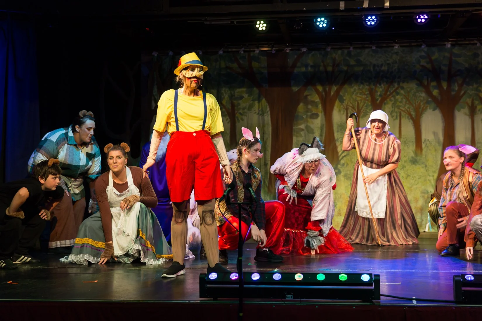 Shrek the Musical-540.JPG