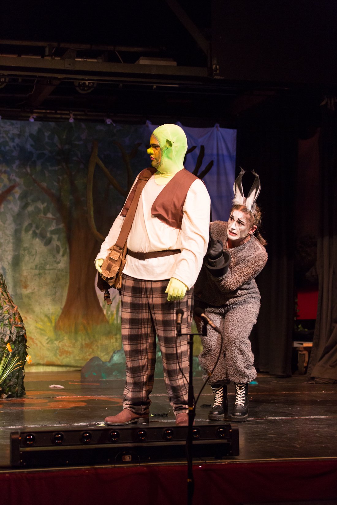 Shrek the Musical-81.JPG