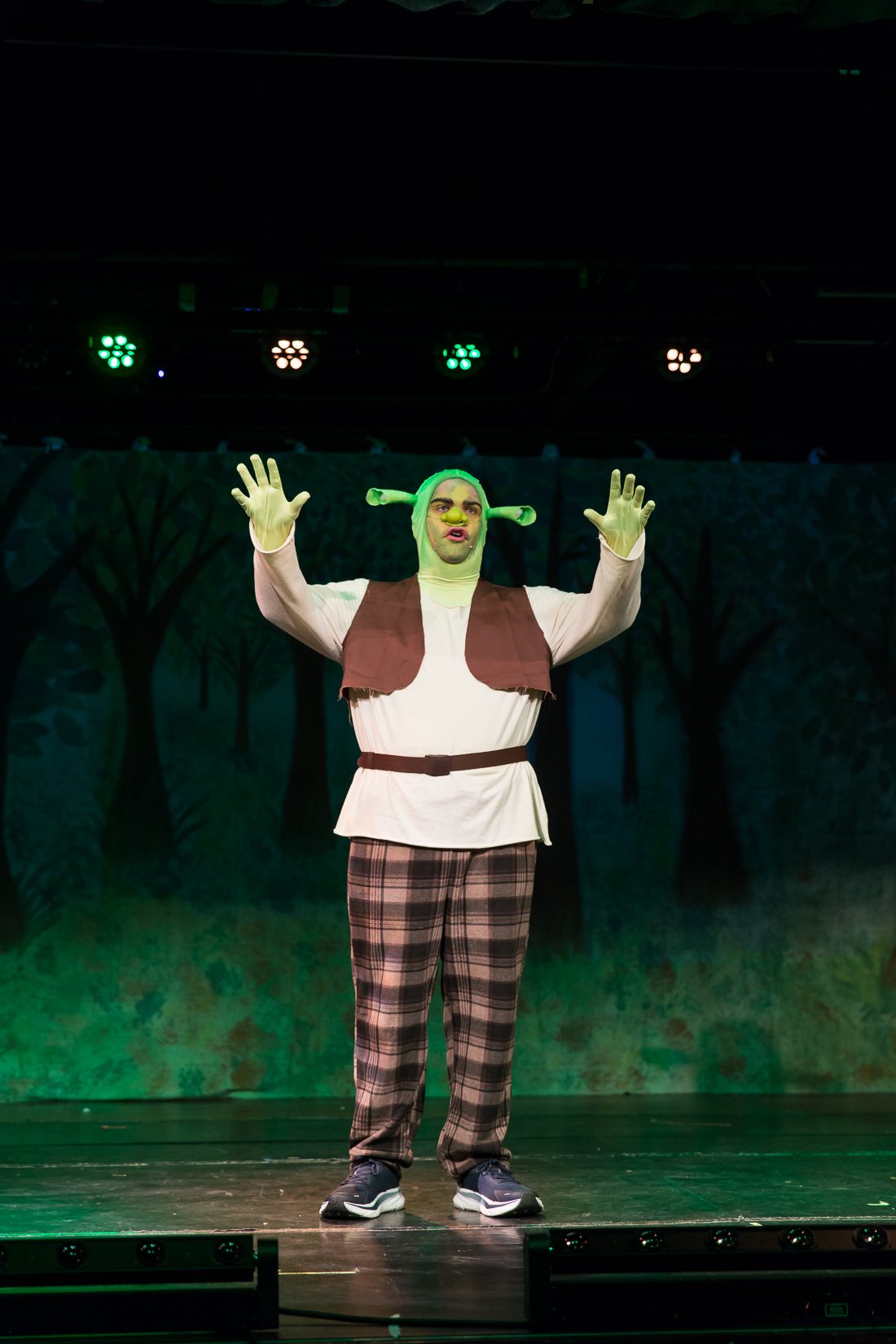 Shrek the Musical-503.JPG