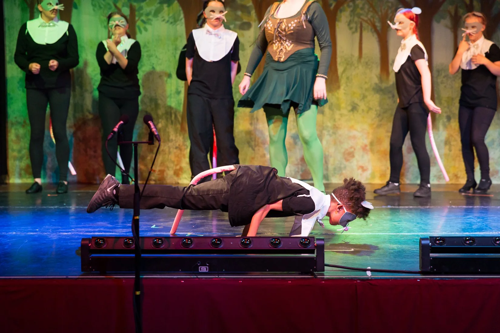 Shrek the Musical-365.JPG