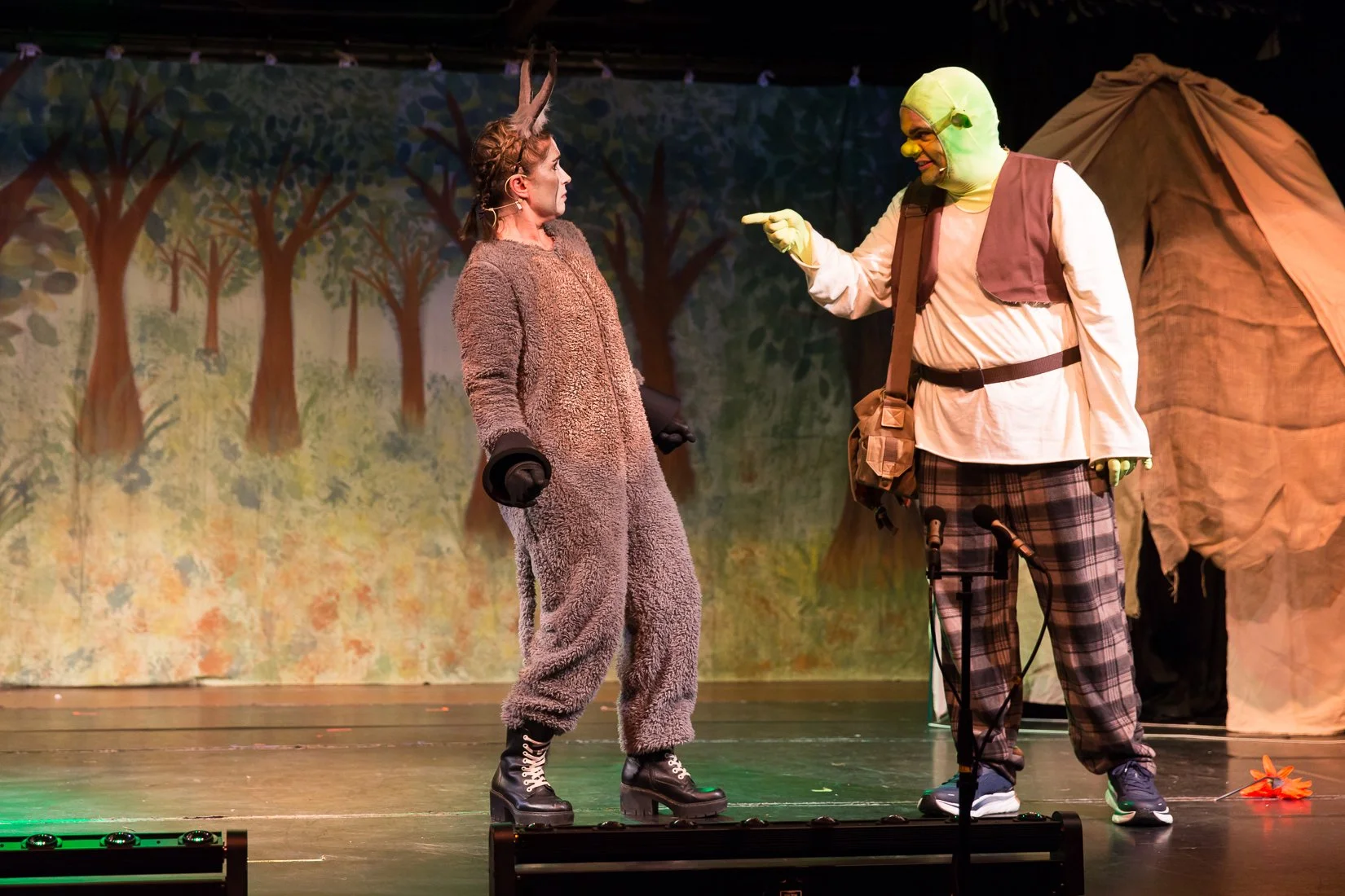 Shrek the Musical-501.JPG