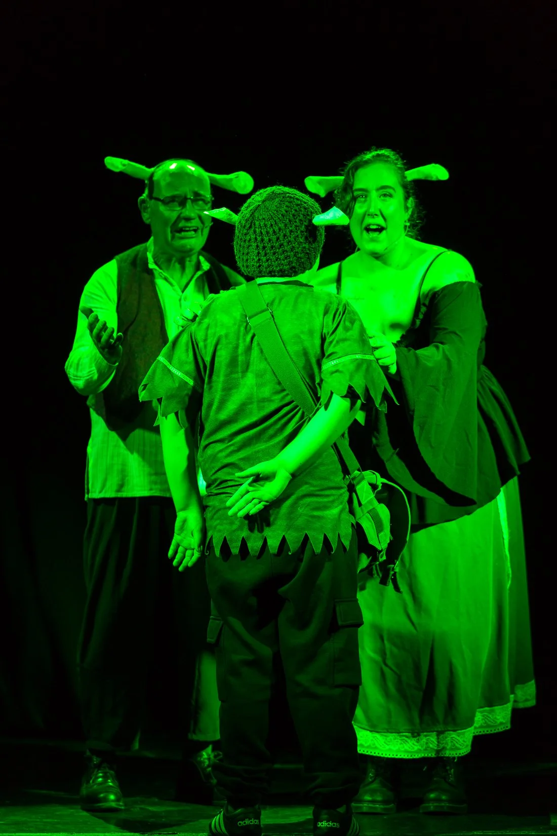 Shrek the Musical-3.JPG