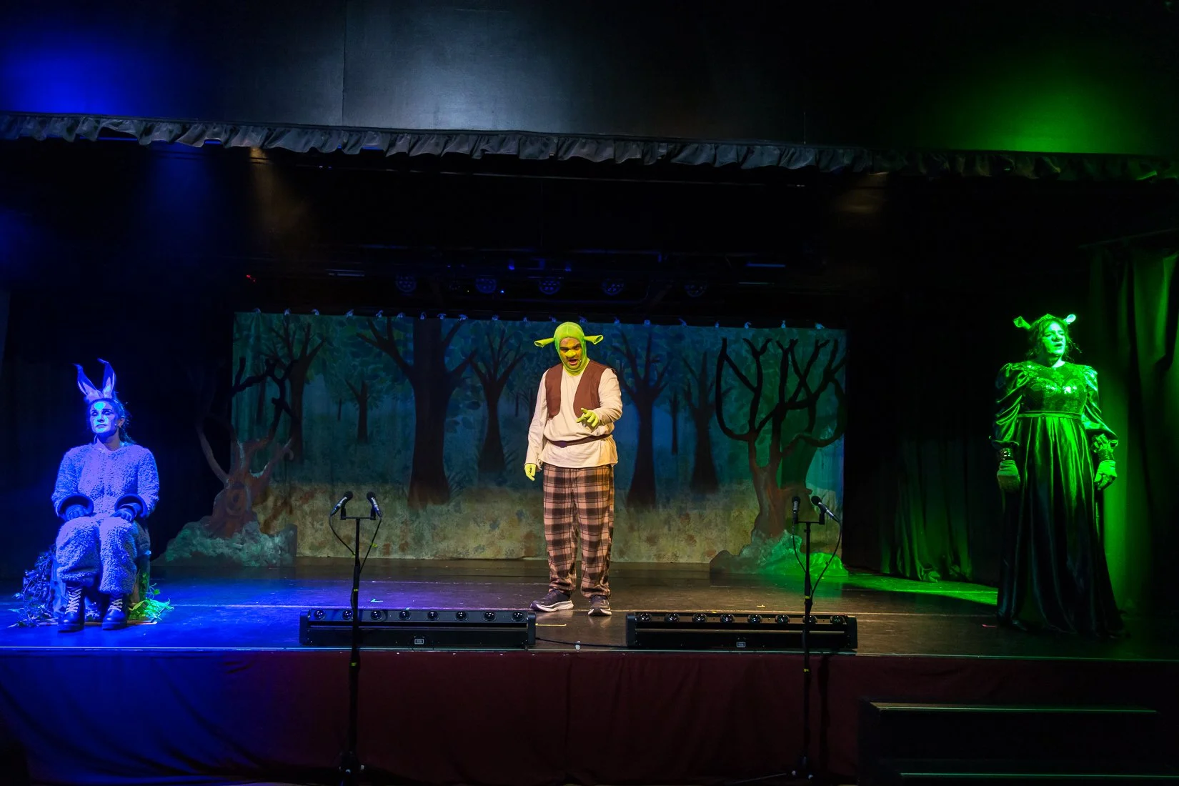 Shrek the Musical-325.JPG