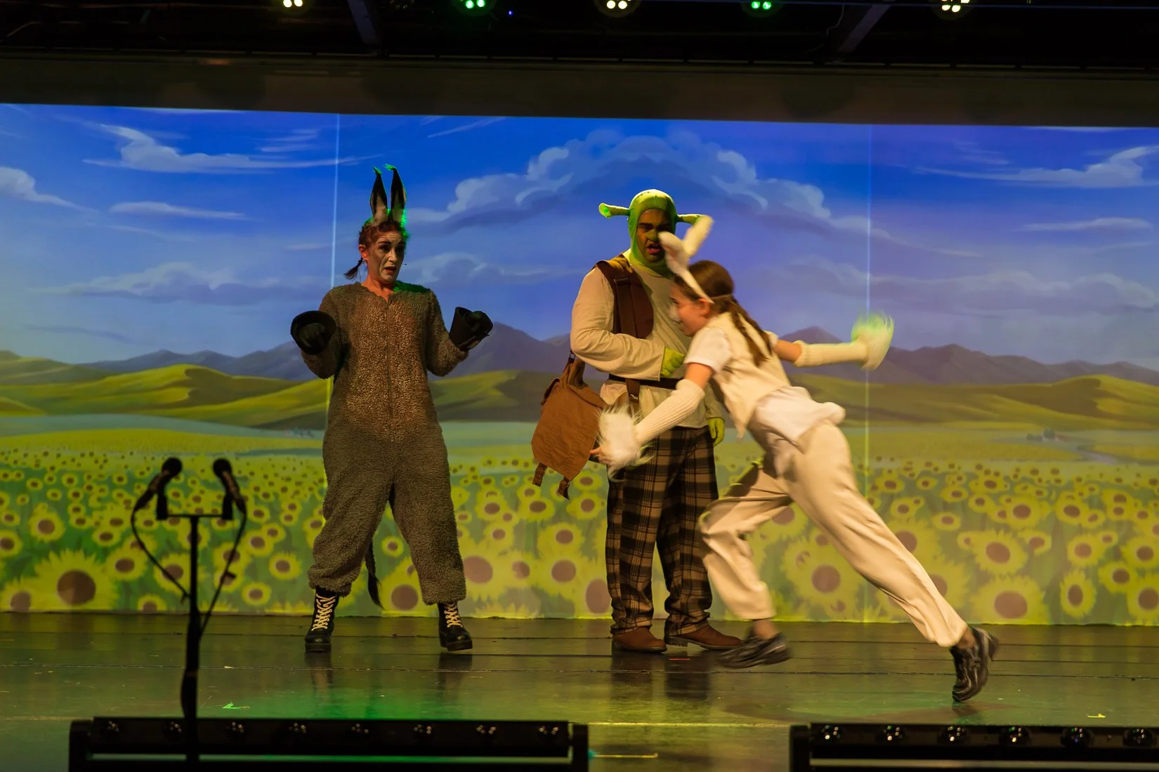 Shrek the Musical-228.JPG