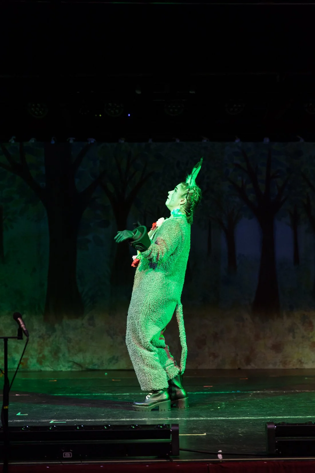 Shrek the Musical-399.JPG