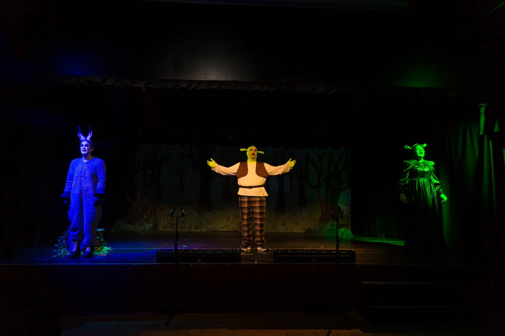 Shrek the Musical-329.JPG