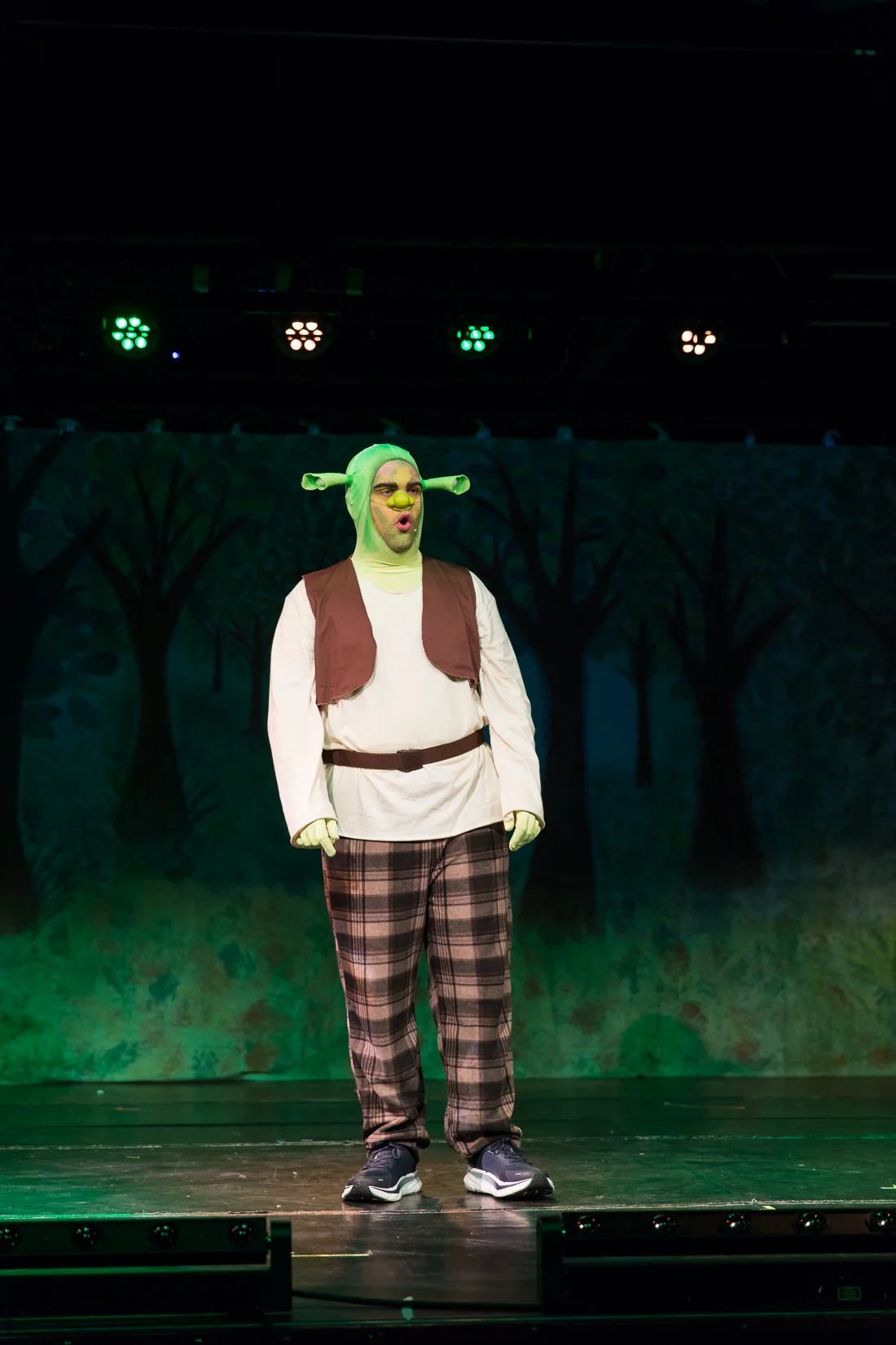 Shrek the Musical-502.JPG