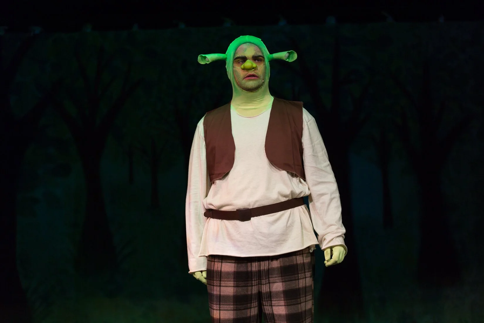 Shrek the Musical-511.JPG