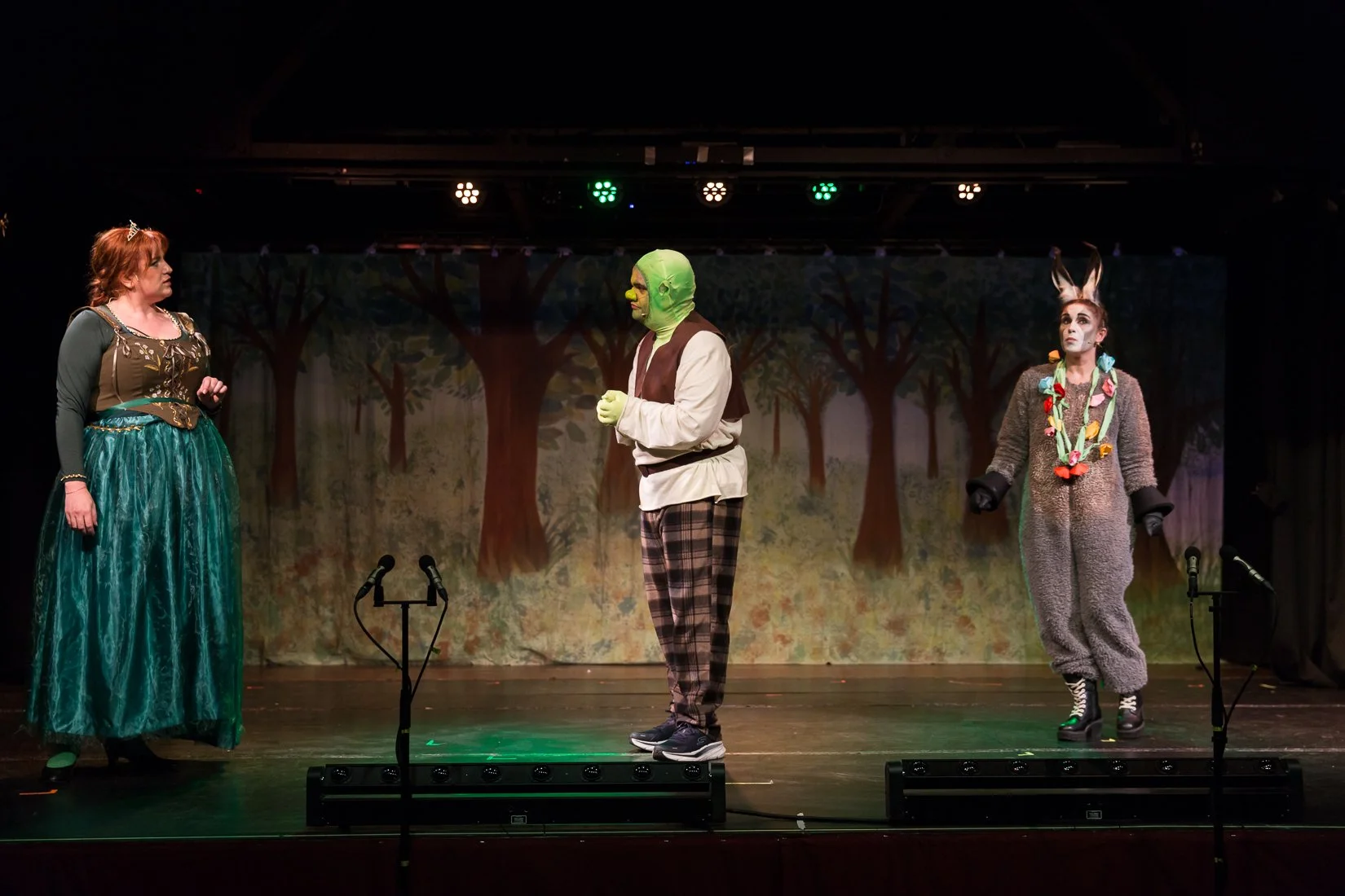 Shrek the Musical-380.JPG