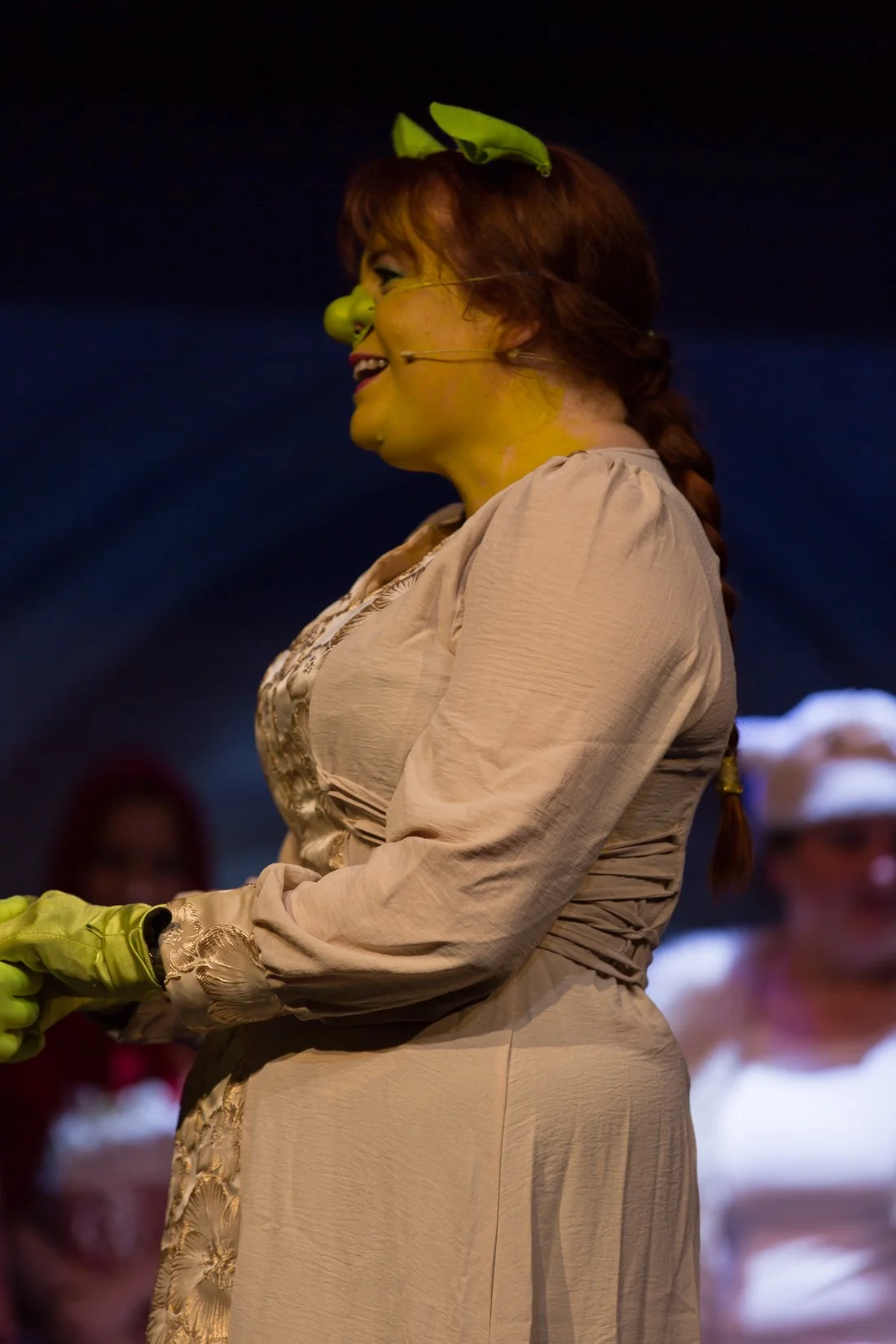 Shrek the Musical-613.JPG
