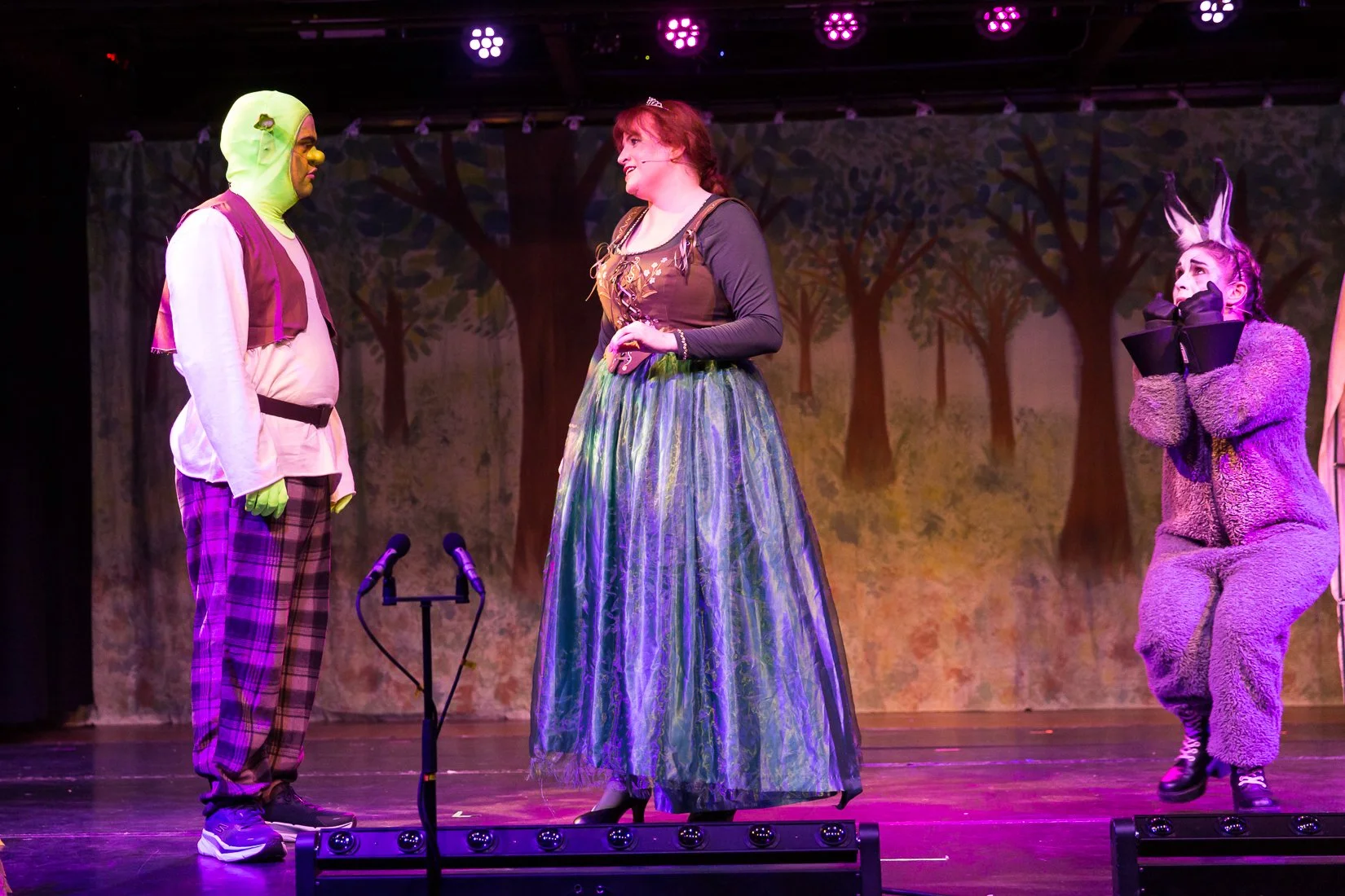 Shrek the Musical-473.JPG