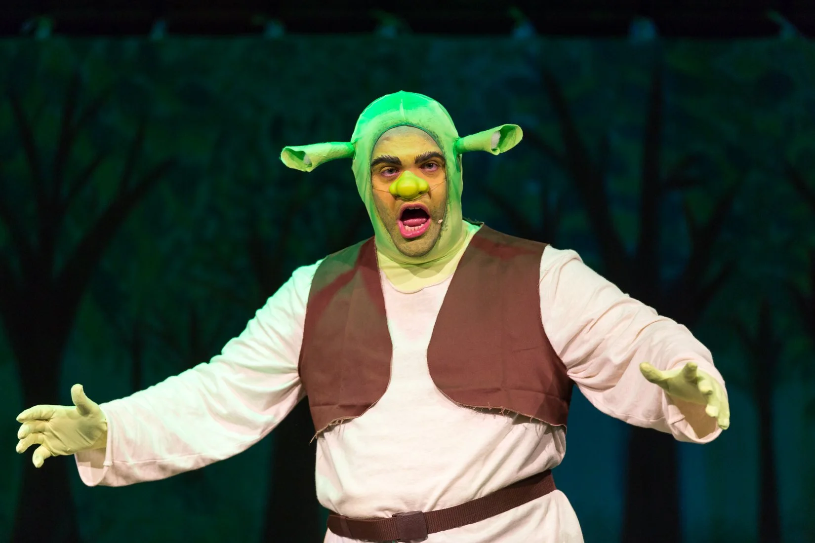Shrek the Musical-1.JPG