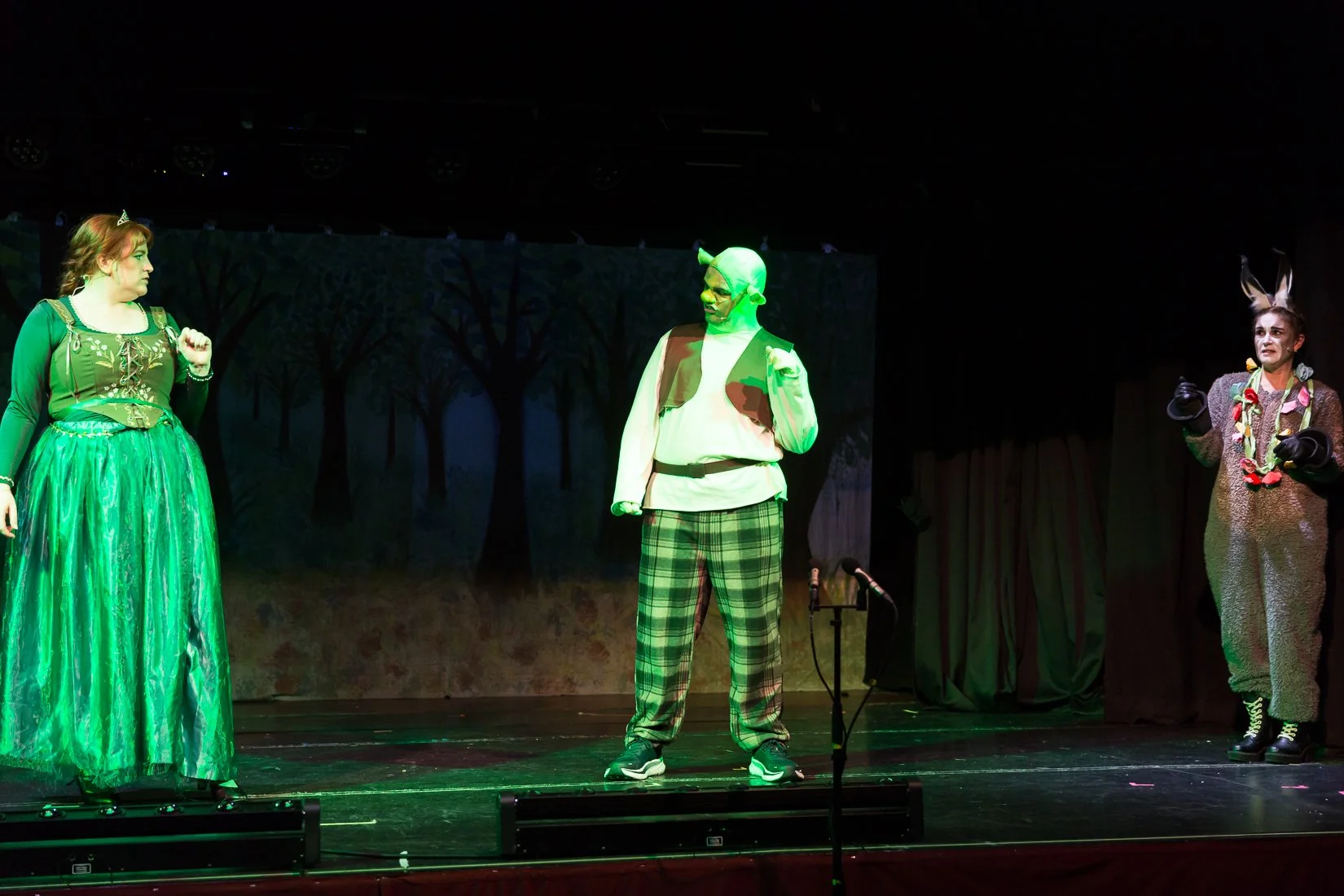 Shrek the Musical-394.JPG
