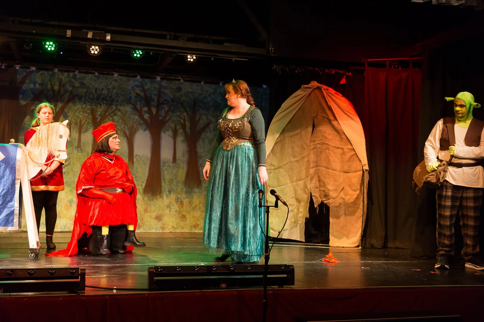 Shrek the Musical-492.JPG