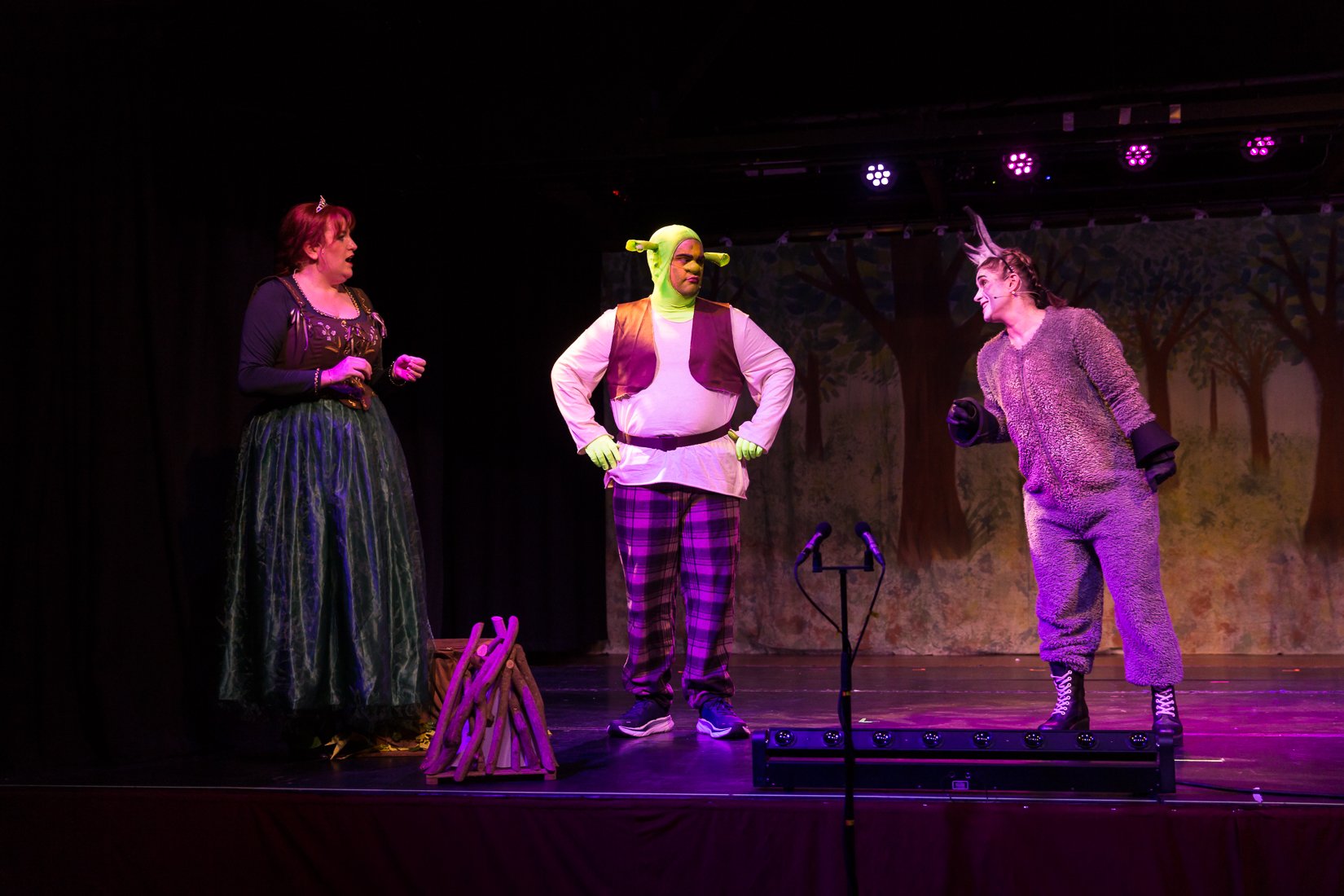Shrek the Musical-472.JPG