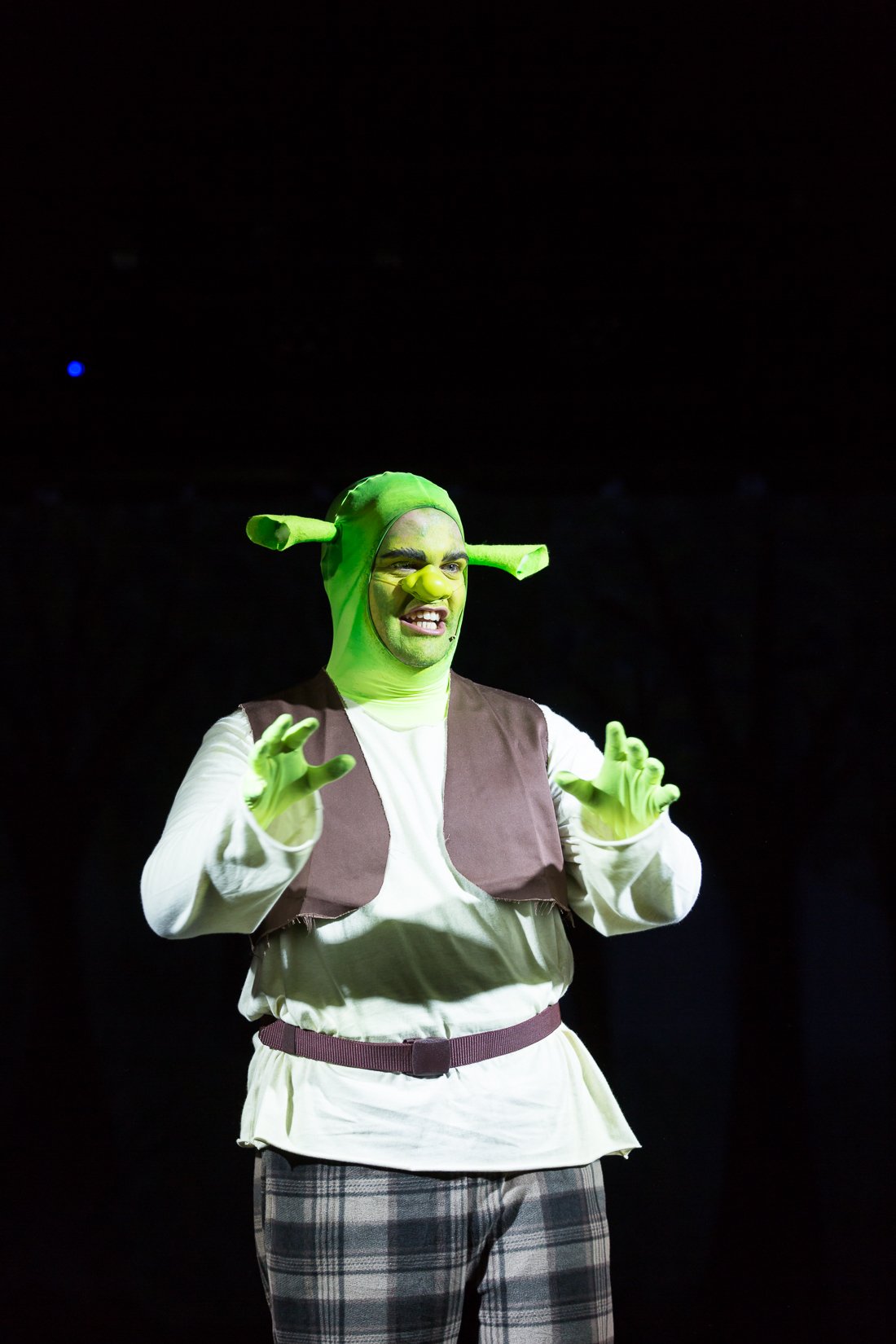 Shrek the Musical-314.JPG